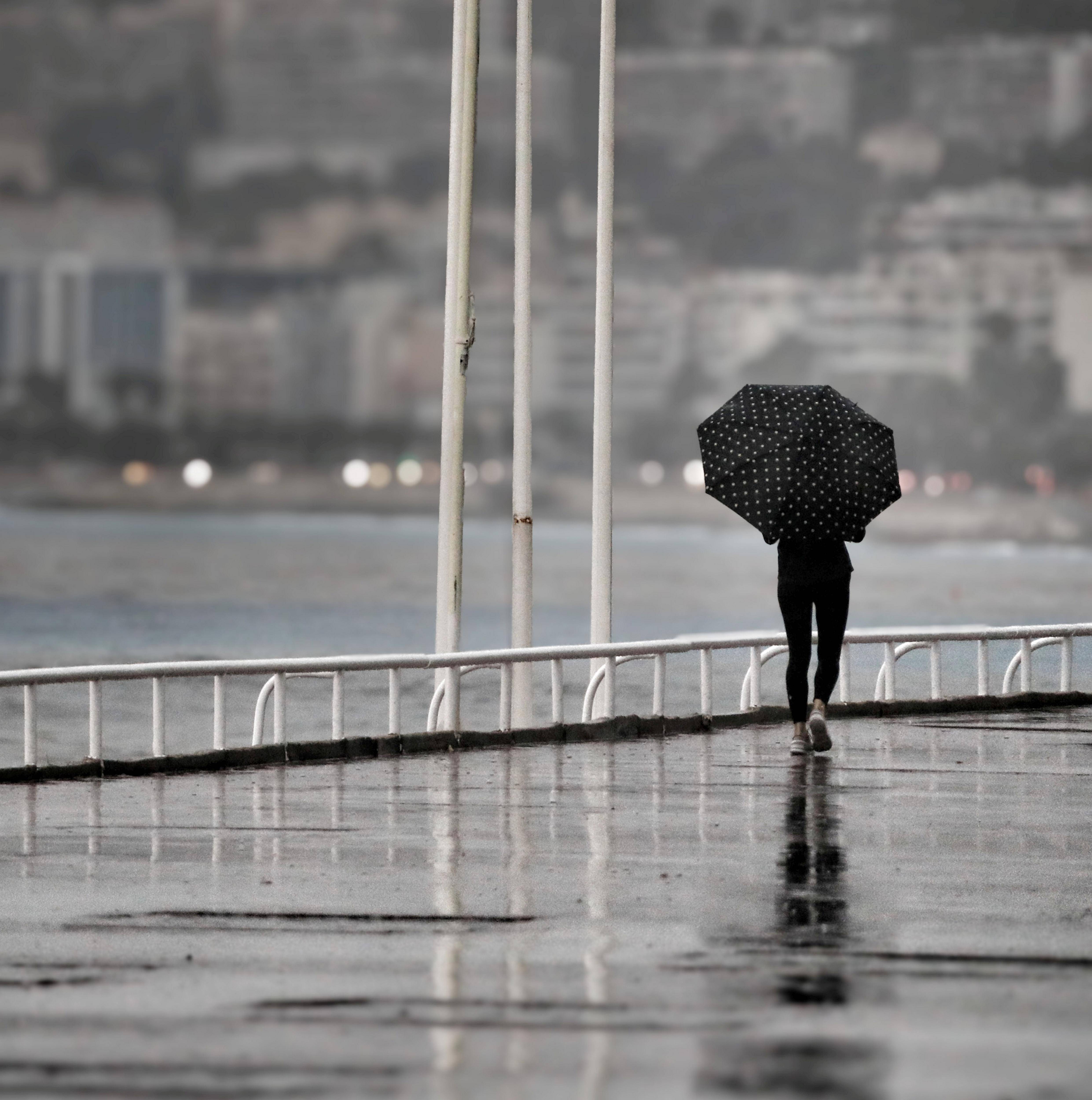 Une année chaude et très arrosée: les enseignements des études de données de Météo-France pour 2024