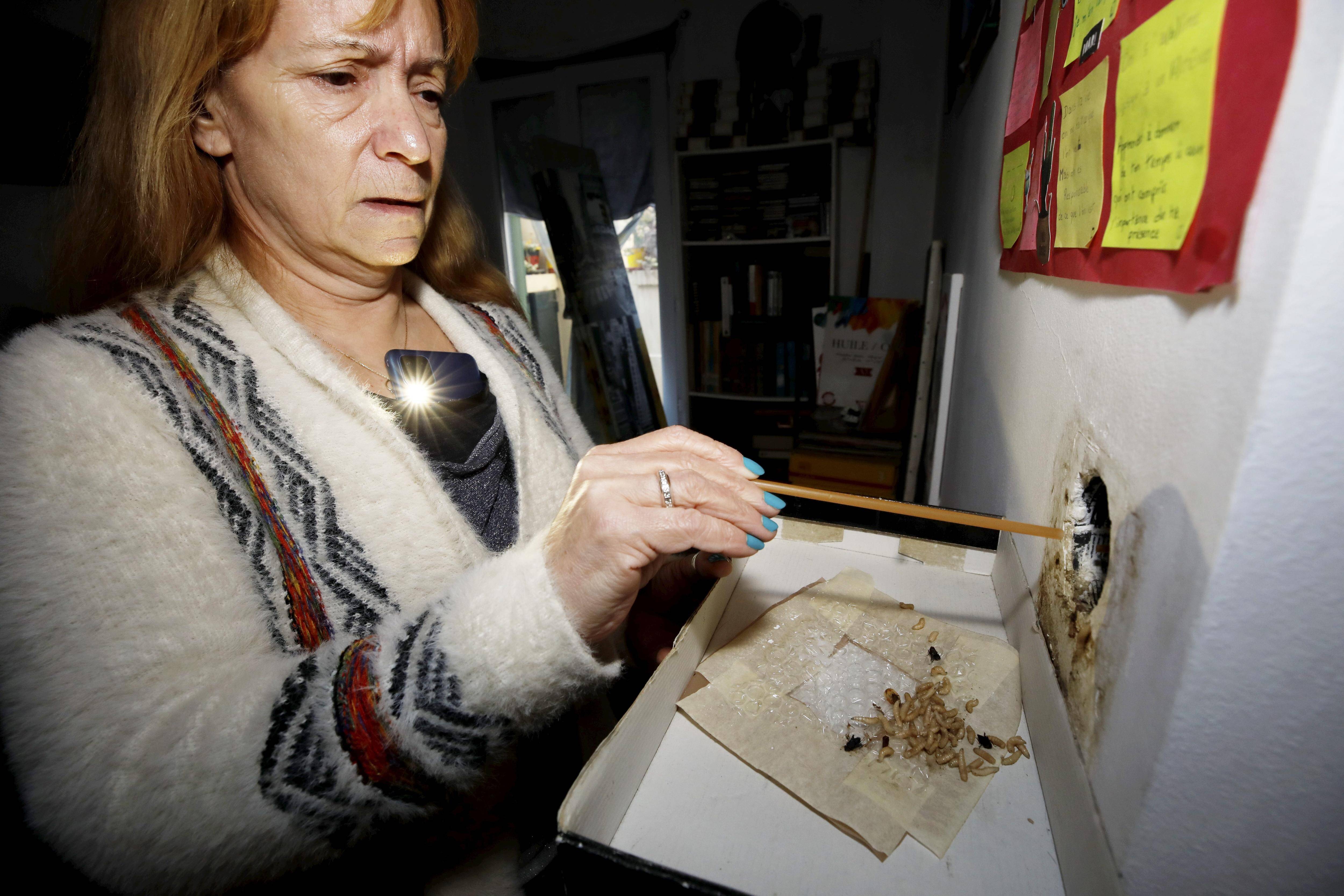 "On nous a dit qu'il y avait sûrement un cadavre quelque part": cette Niçoise voit des asticots sortir de l'interrupteur de sa chambre