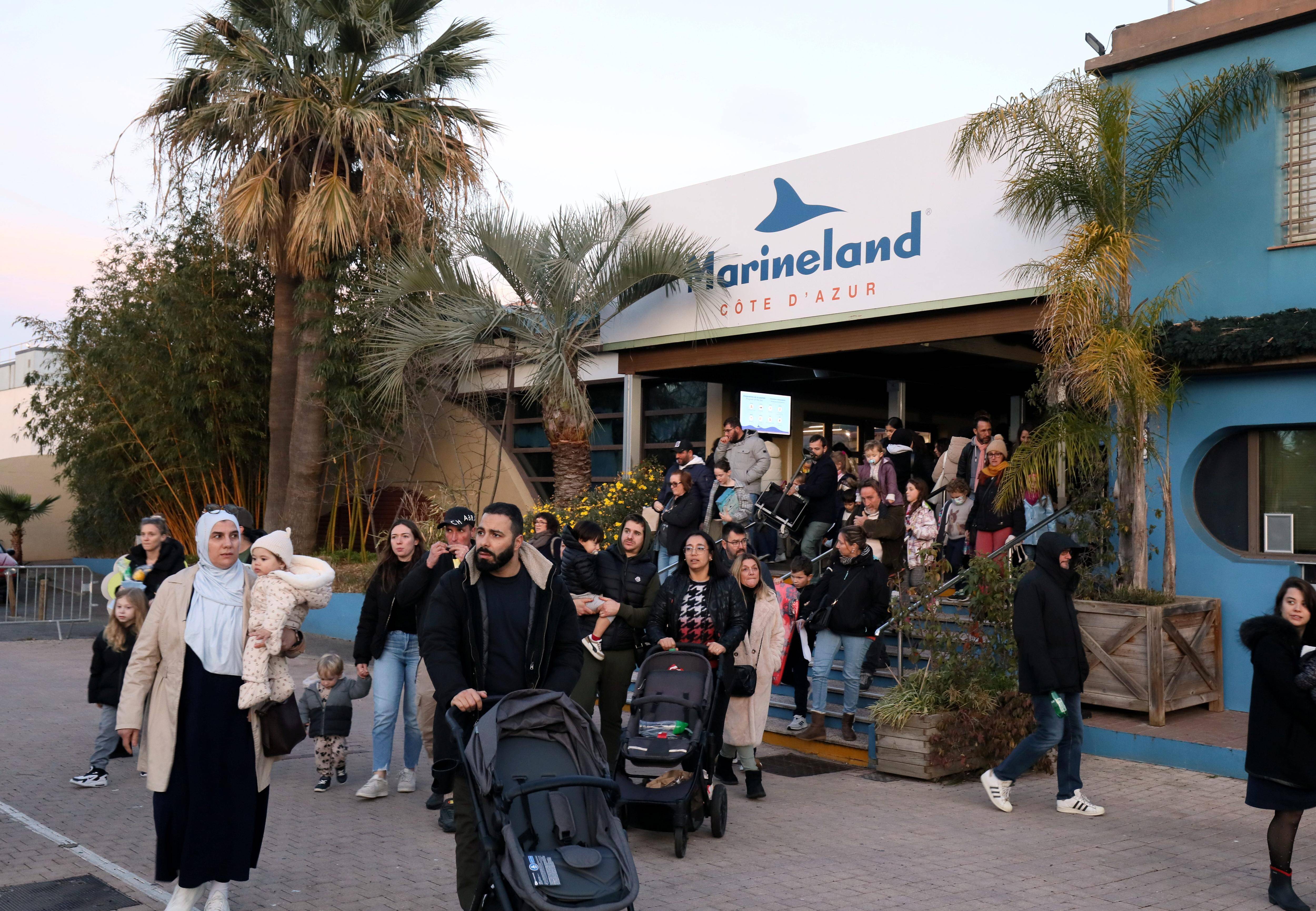 "Ça fait un pincement au coeur, c'est sûr", les émouvants adieux aux animaux après la fermeture définitive de Marineland à Antibes