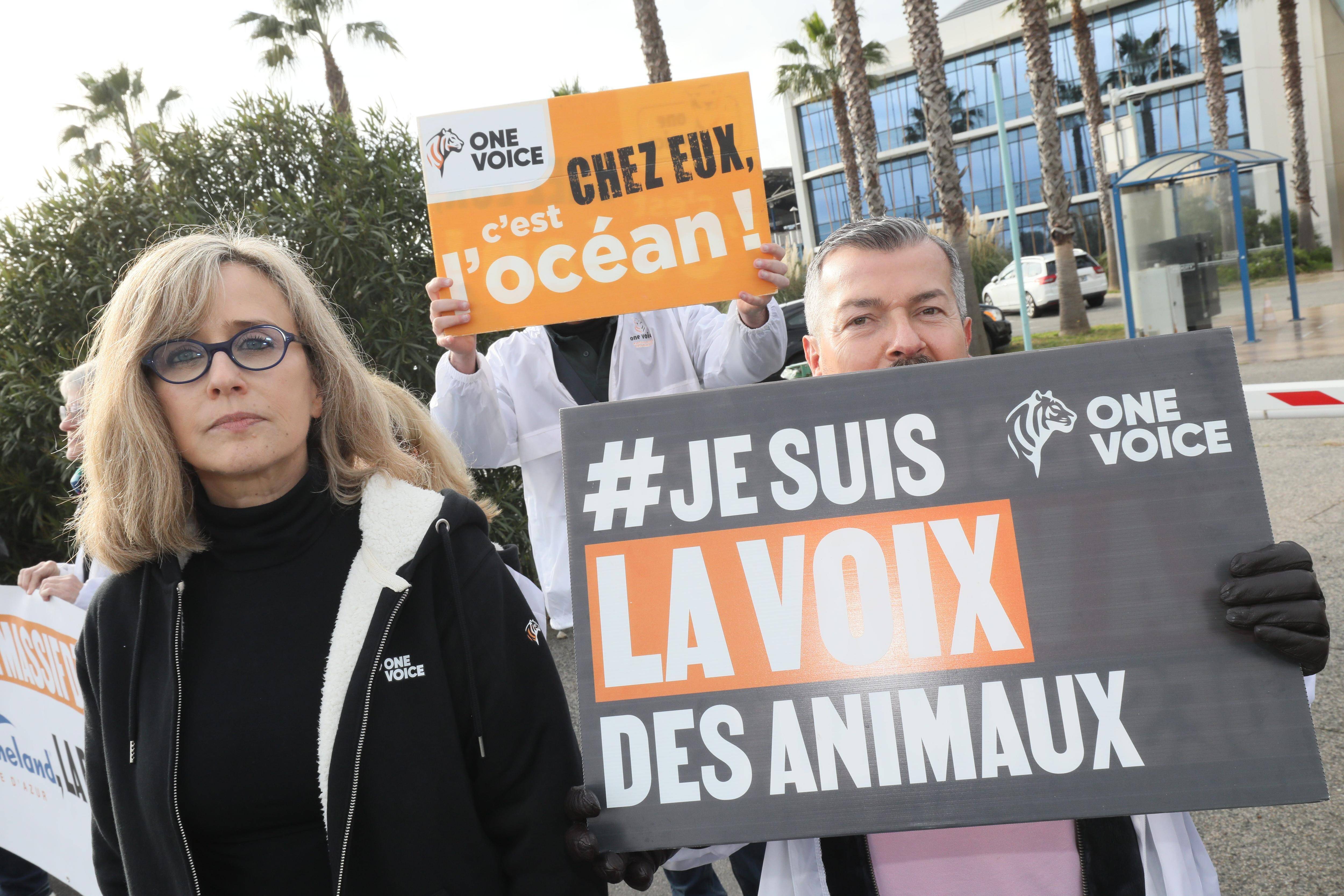 Fermeture de Marineland: pour l'association One Voice, "ce n'est pas la fin du combat"