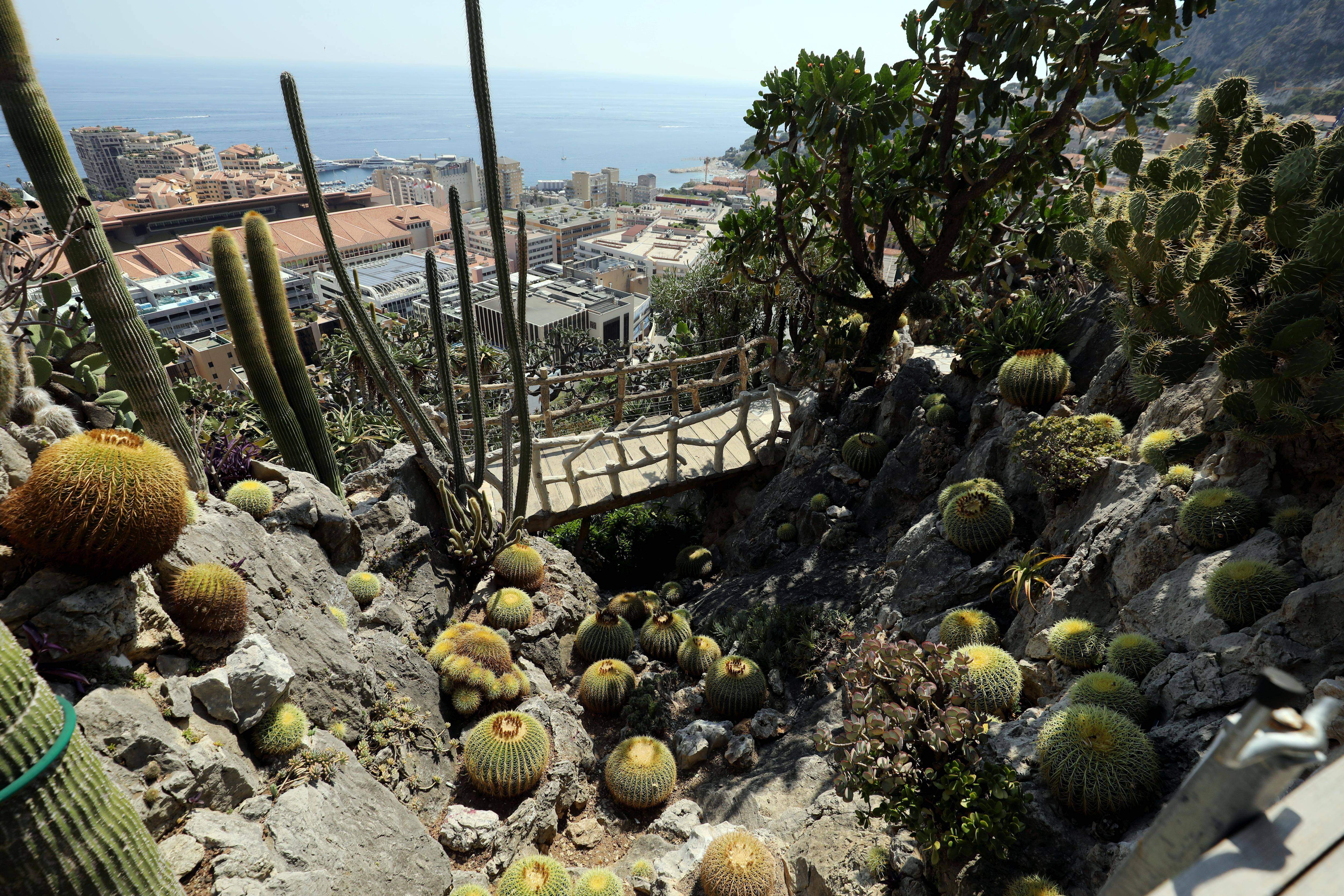 Le Jardin exotique de Monaco pourrait enfin rouvrir ses portes au public à la fin de l'été 2025