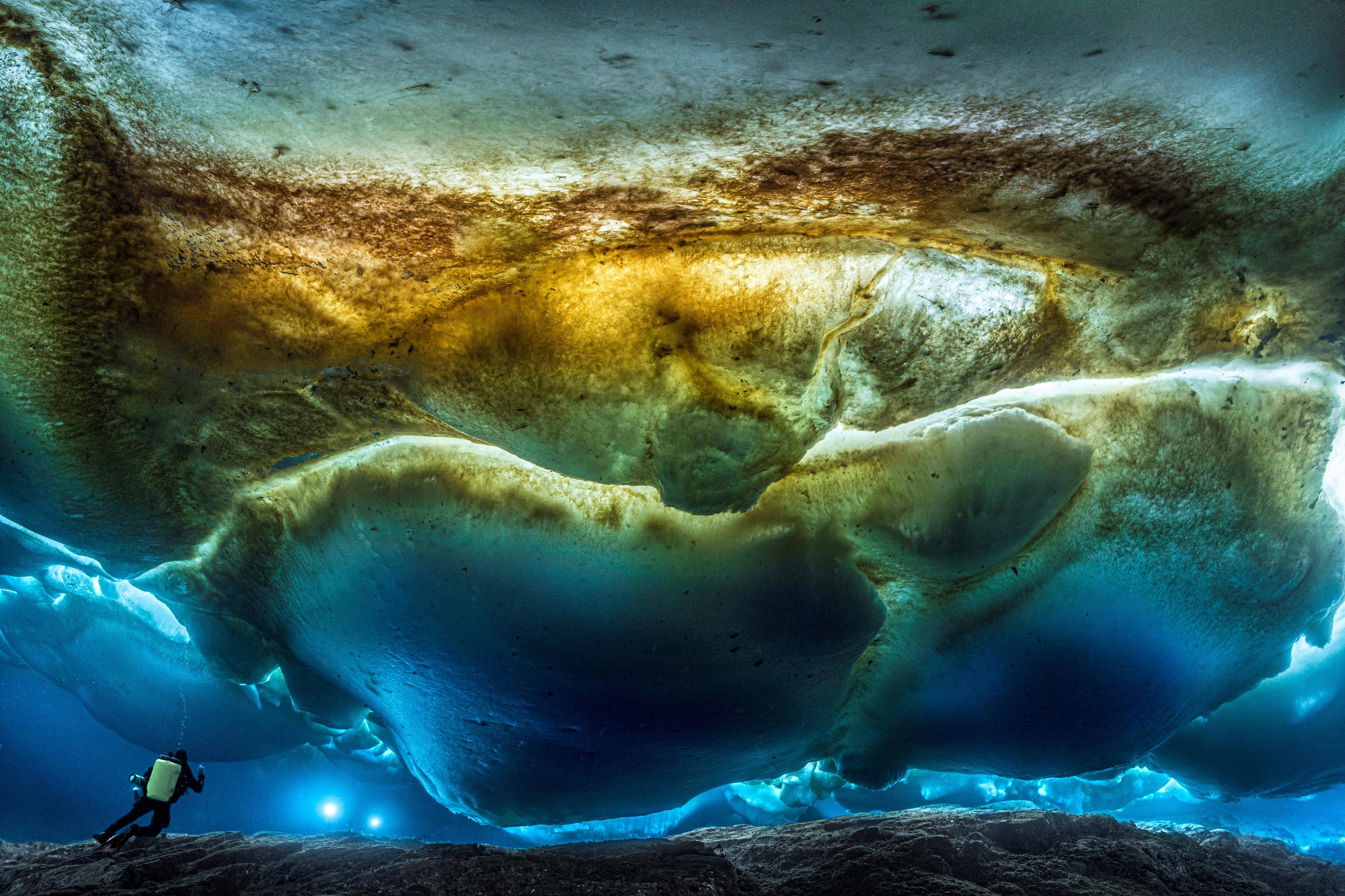 Musées, expos en plein air, conférences... Ce qu'il faut savoir sur la Biennale 2025 de Nice consacrée aux océans