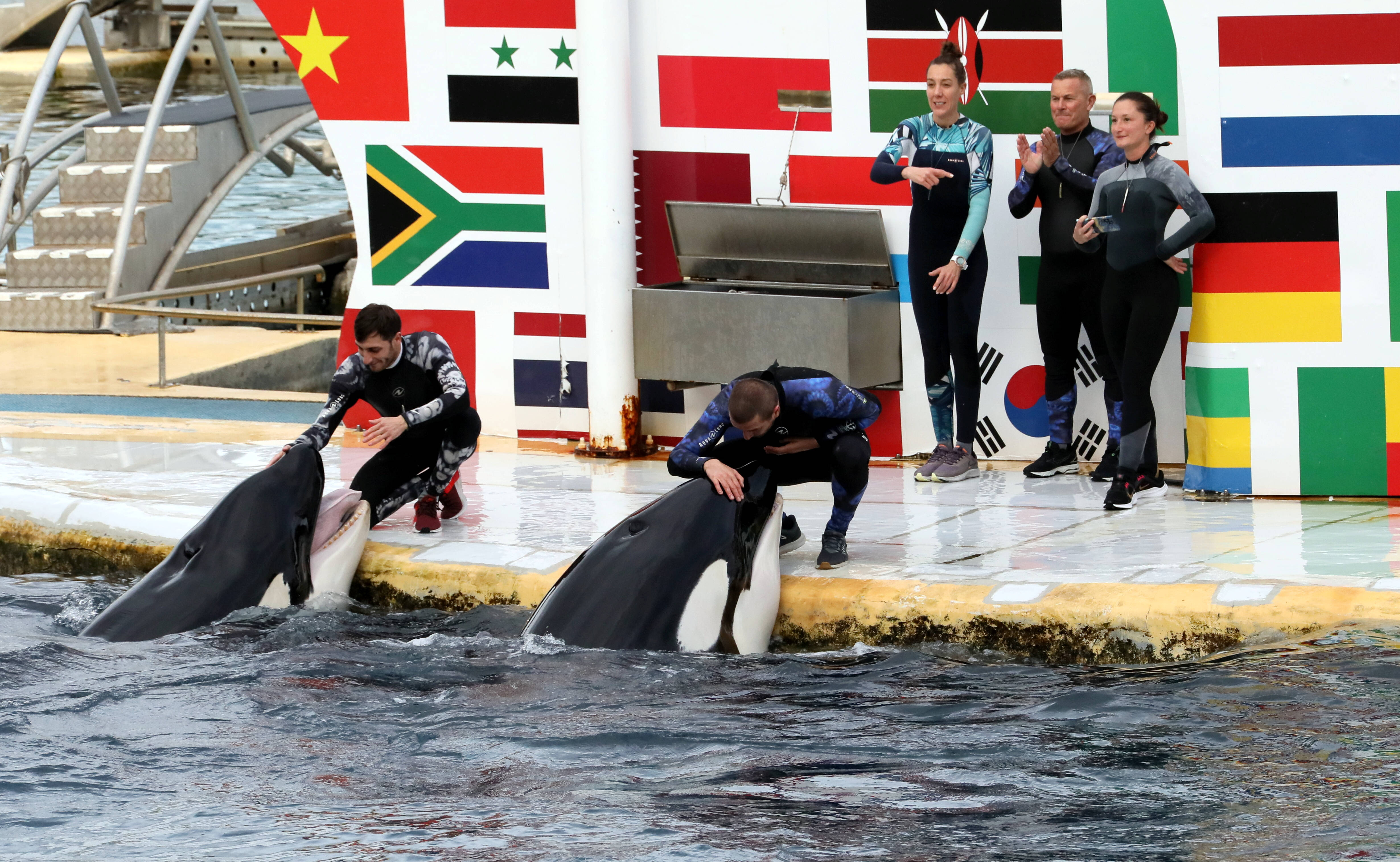 "Il est temps de nous donner les moyens de faire ce qui est le mieux pour eux": les soigneurs de Marineland veulent garder les animaux