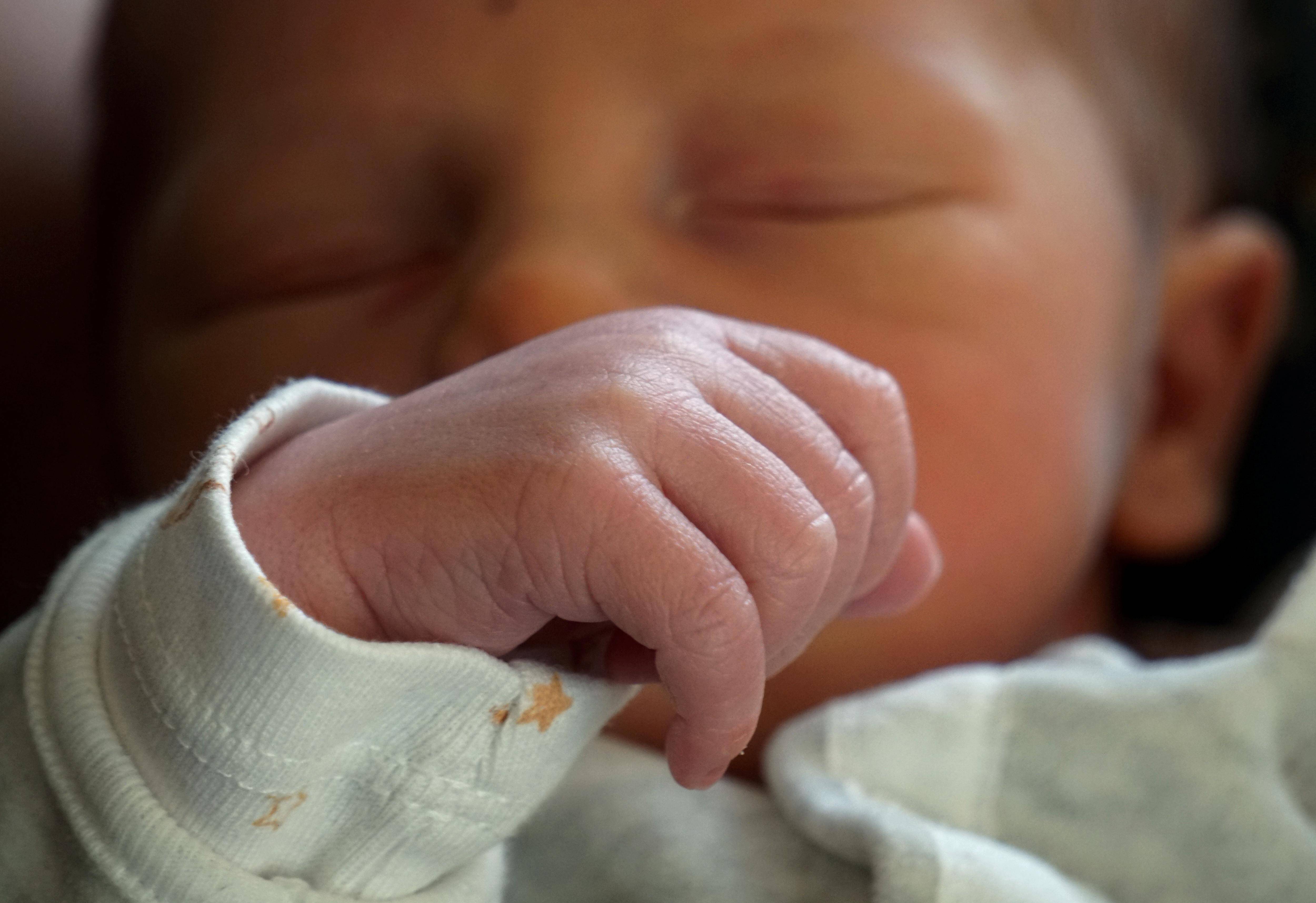 Naissance, mariage, décès: ce que dit l'état civil de 2024 à Brignoles