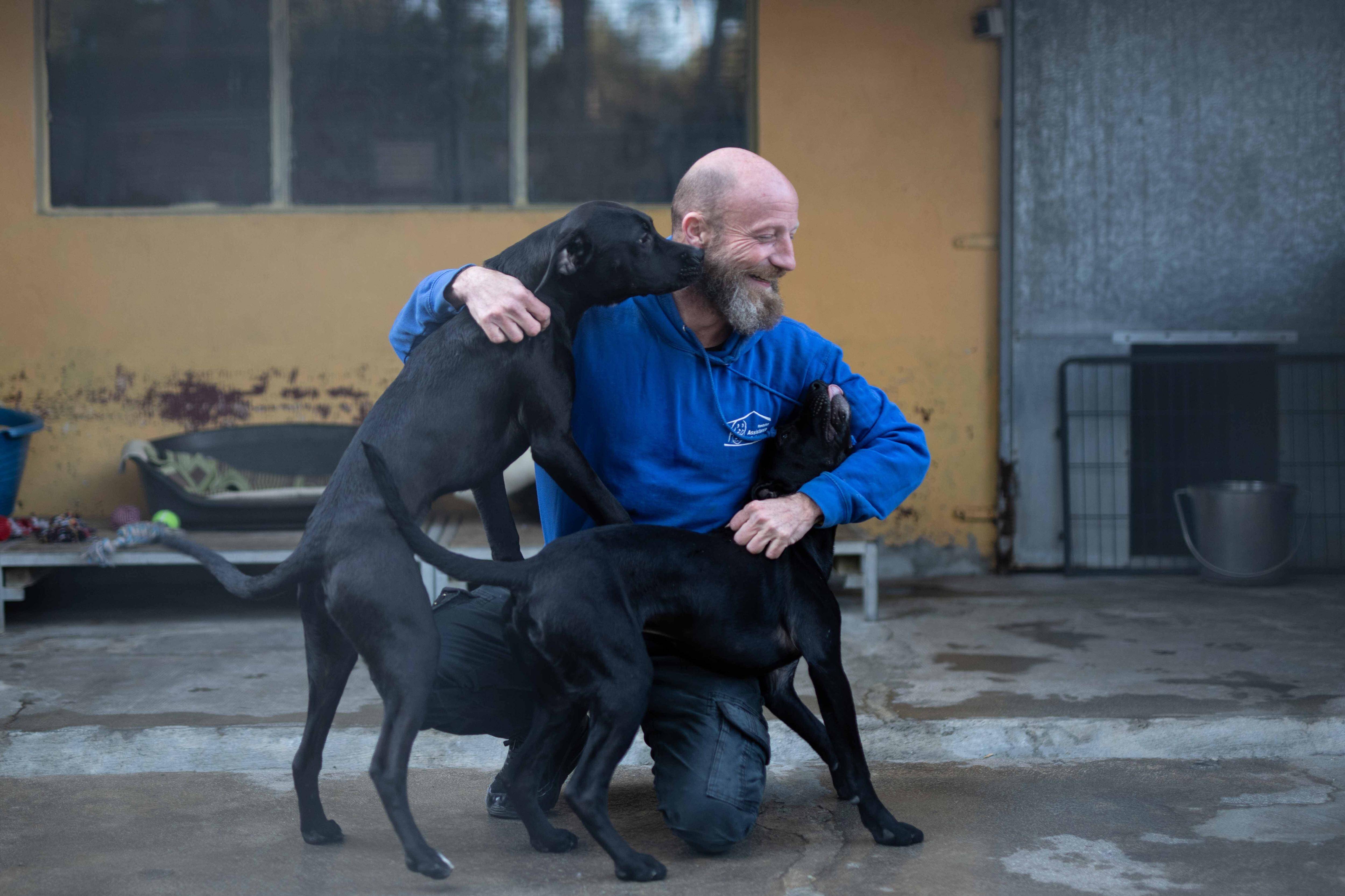 A Toulon, comment le refuge pour chiens de Lagoubran fait face aux demandes
