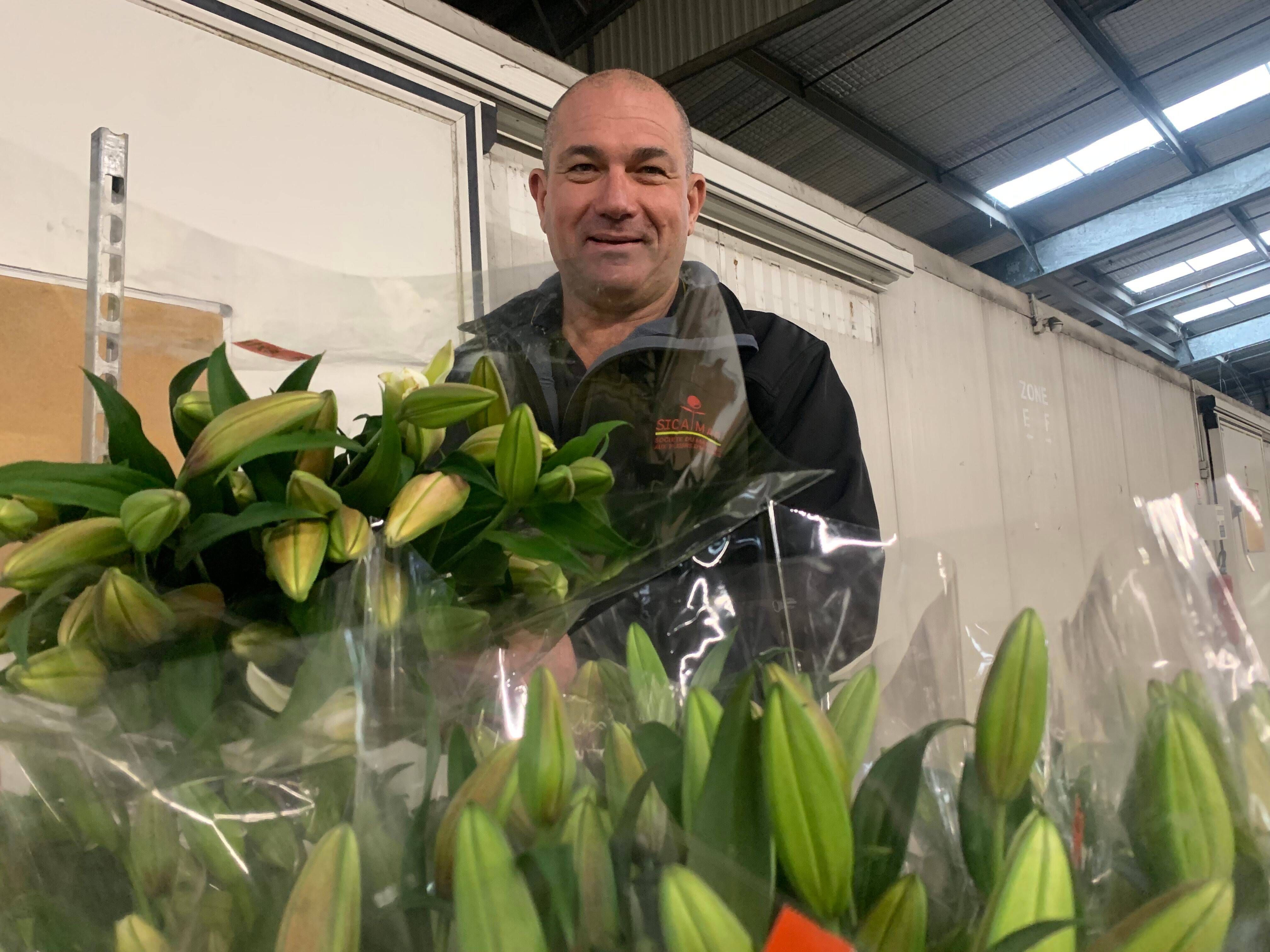 Trop de pesticides dans les fleurs? La filière locale dans le Var, davantage réglementée, veut éviter l'amalgame