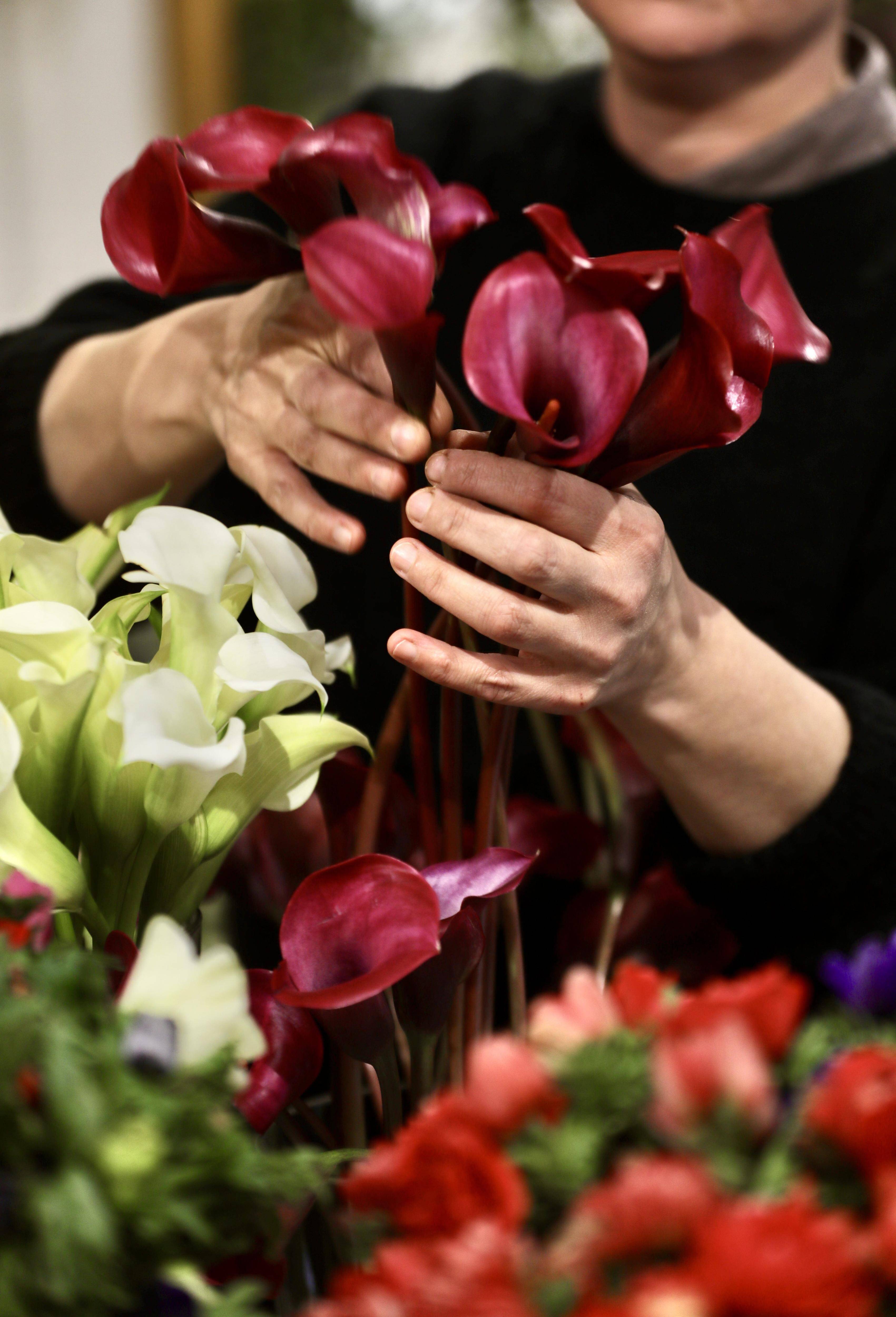 "Bien sûr que c'est une question préoccupante": une étude pour mesurer les pesticides dans les fleurs