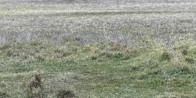 Les quatre jeunes hommes en difficulté dans le massif de la Sainte-Baume ont été repérés grâce à leur sifflet