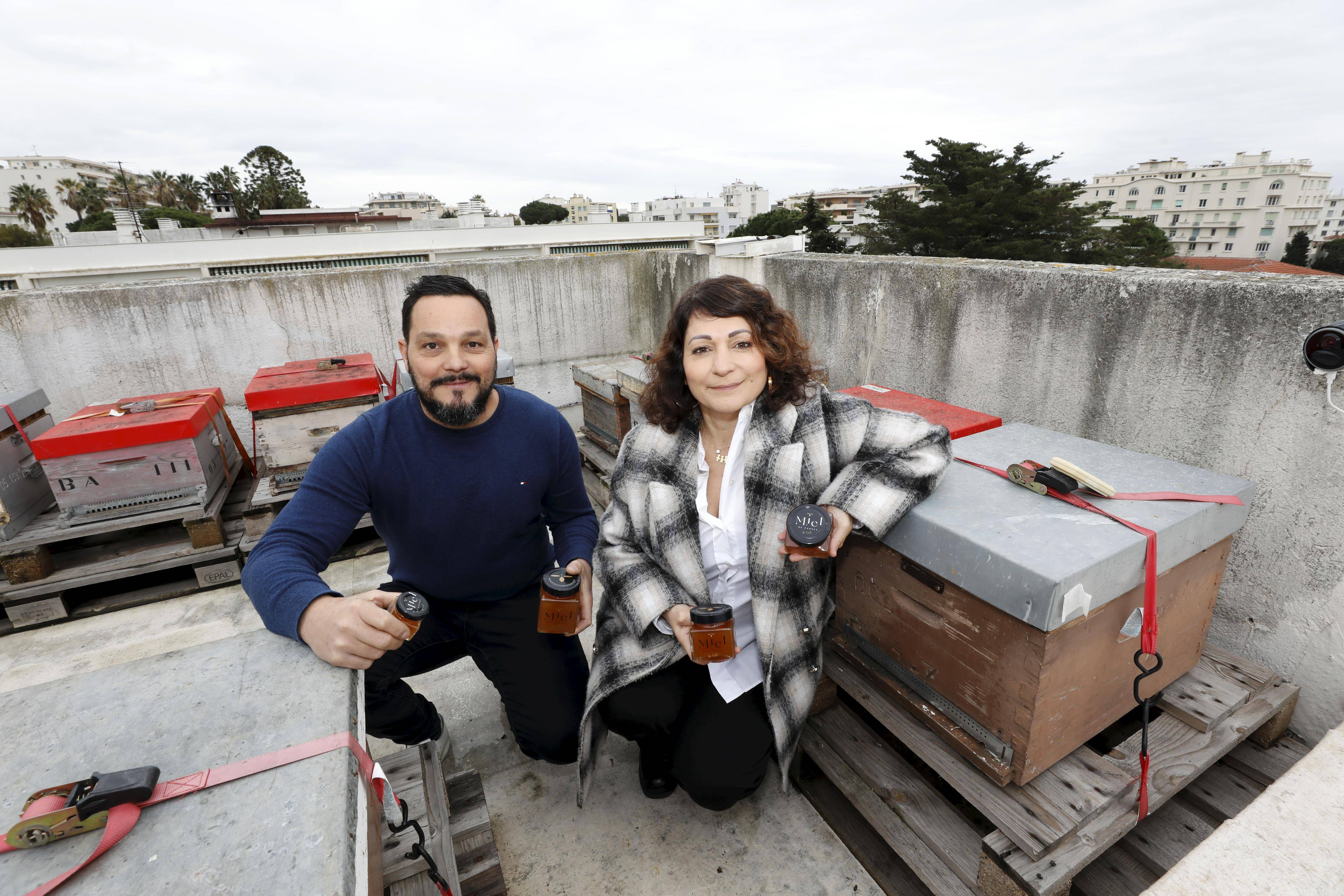 Le Palais des festivals de Cannes déroule le tapis rouge... aux abeilles