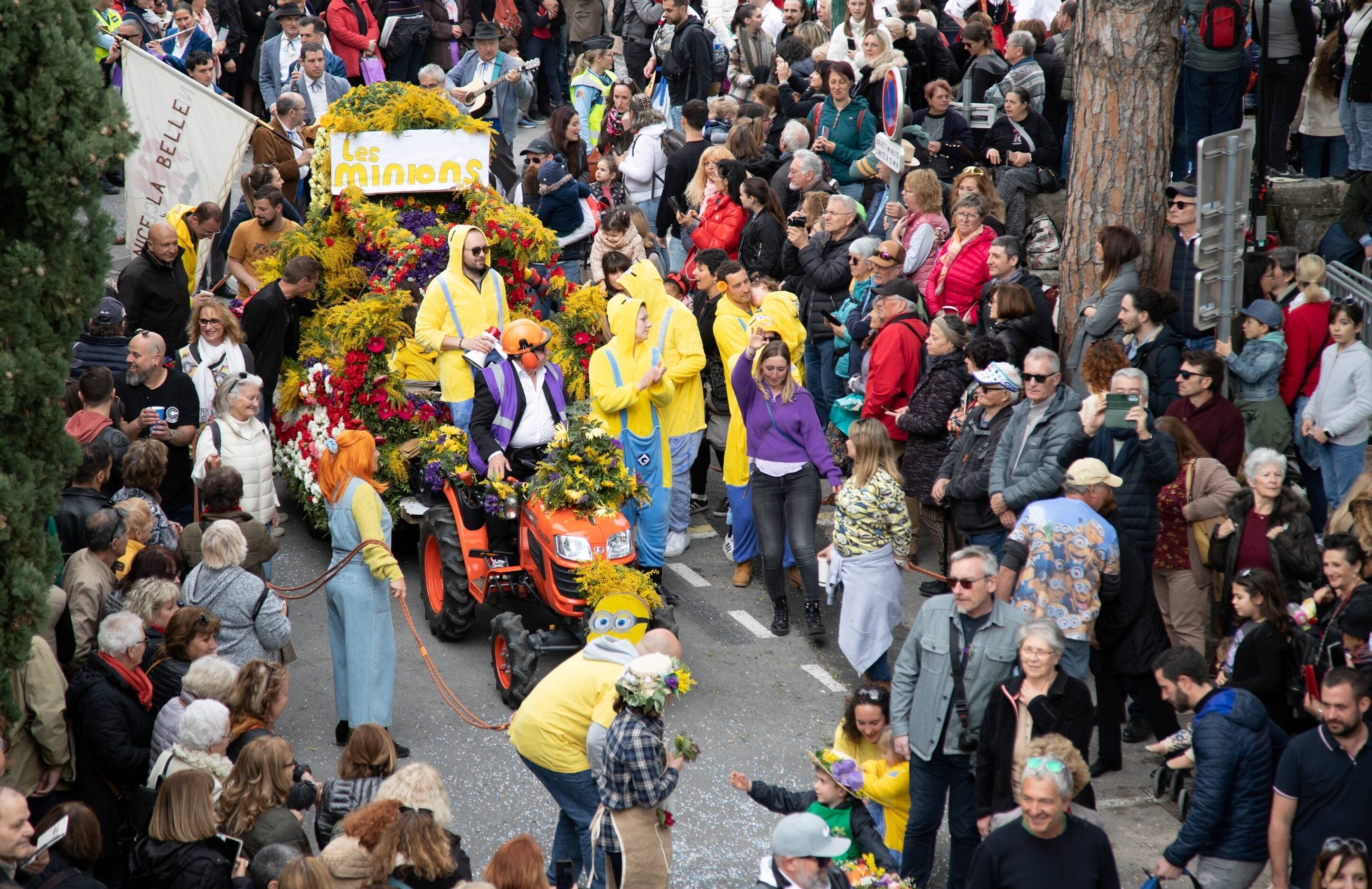 Corée du Sud, corso fleuri, animations... Tout ce qu'il faut savoir sur la fête des violettes 2025 à Tourrettes-sur-Loup ce week-end