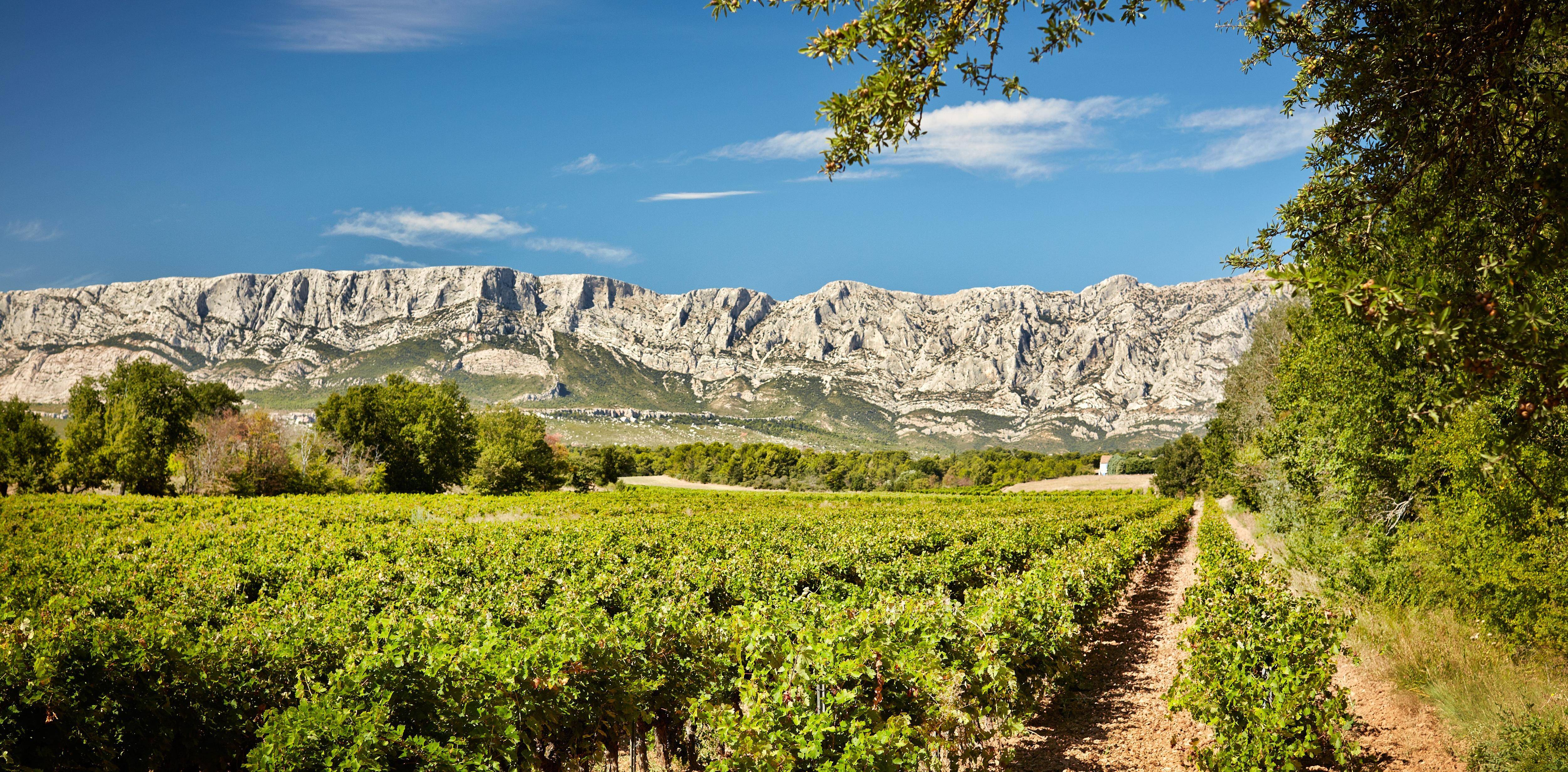 Avis aux amateurs de grands vins: Sainte Victoire devient le premier cru des Côtes de Provence