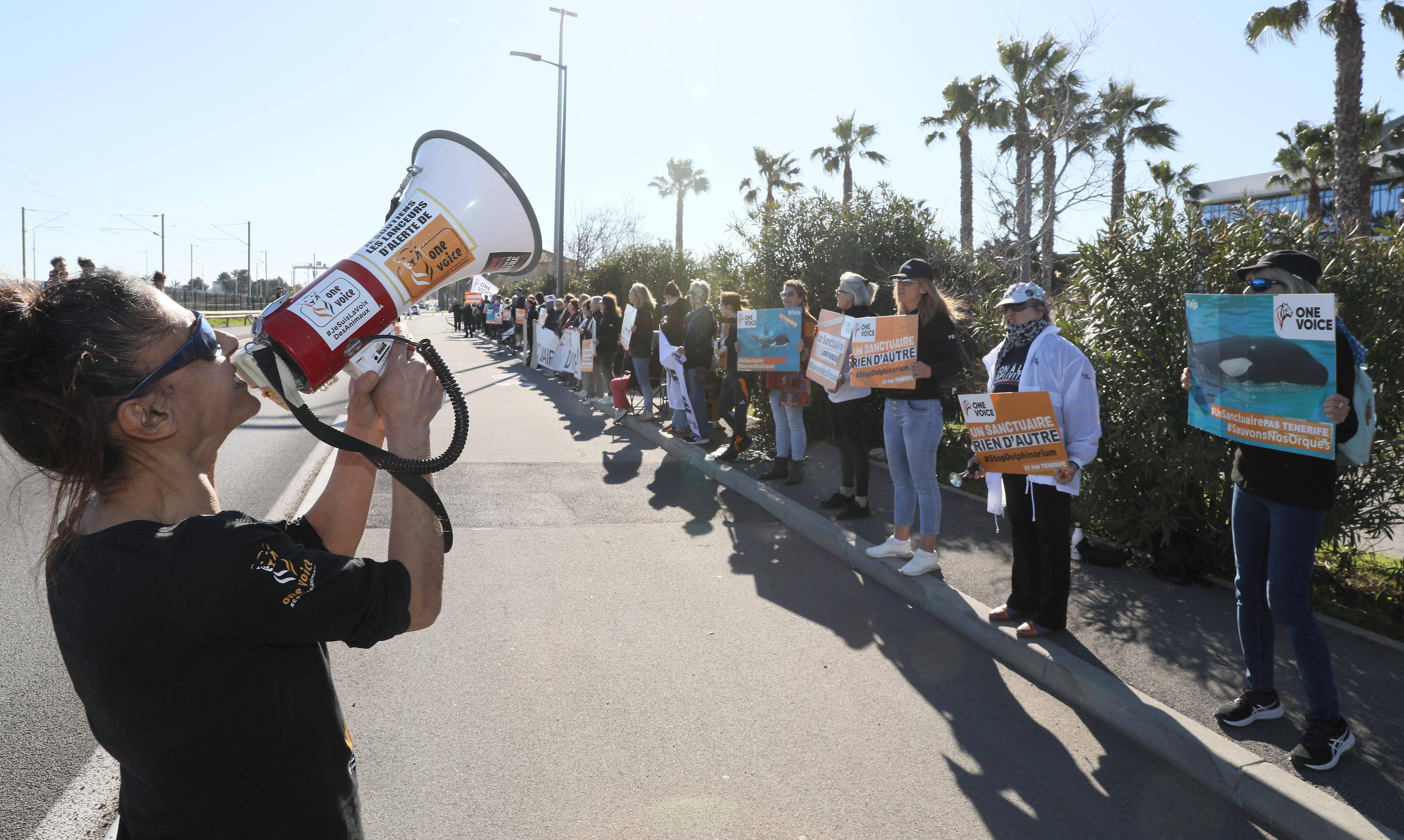 "Après l'Espagne, elles iront en Chine": One Voice s'est mobilisée ce samedi devant Marineland pour dénoncer un éventuel transfert des orques