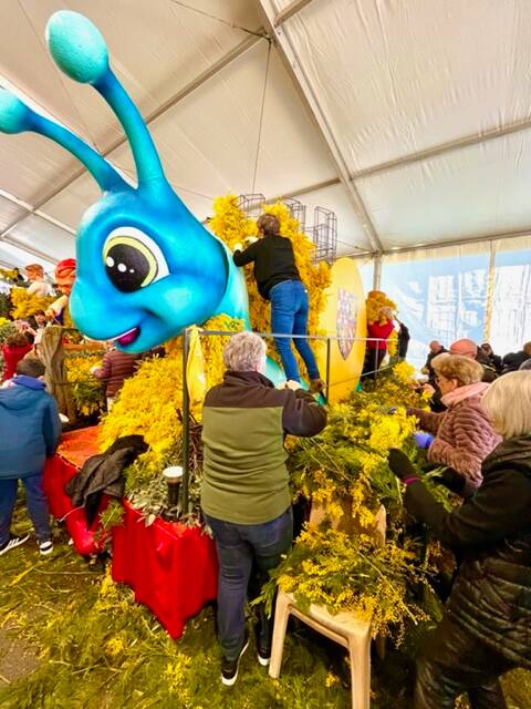 Fête du mimosa de Mandelieu: les chars de "La grande vadrouille des régions" fin prêts pour le grand corso fleuri de ce dimanche