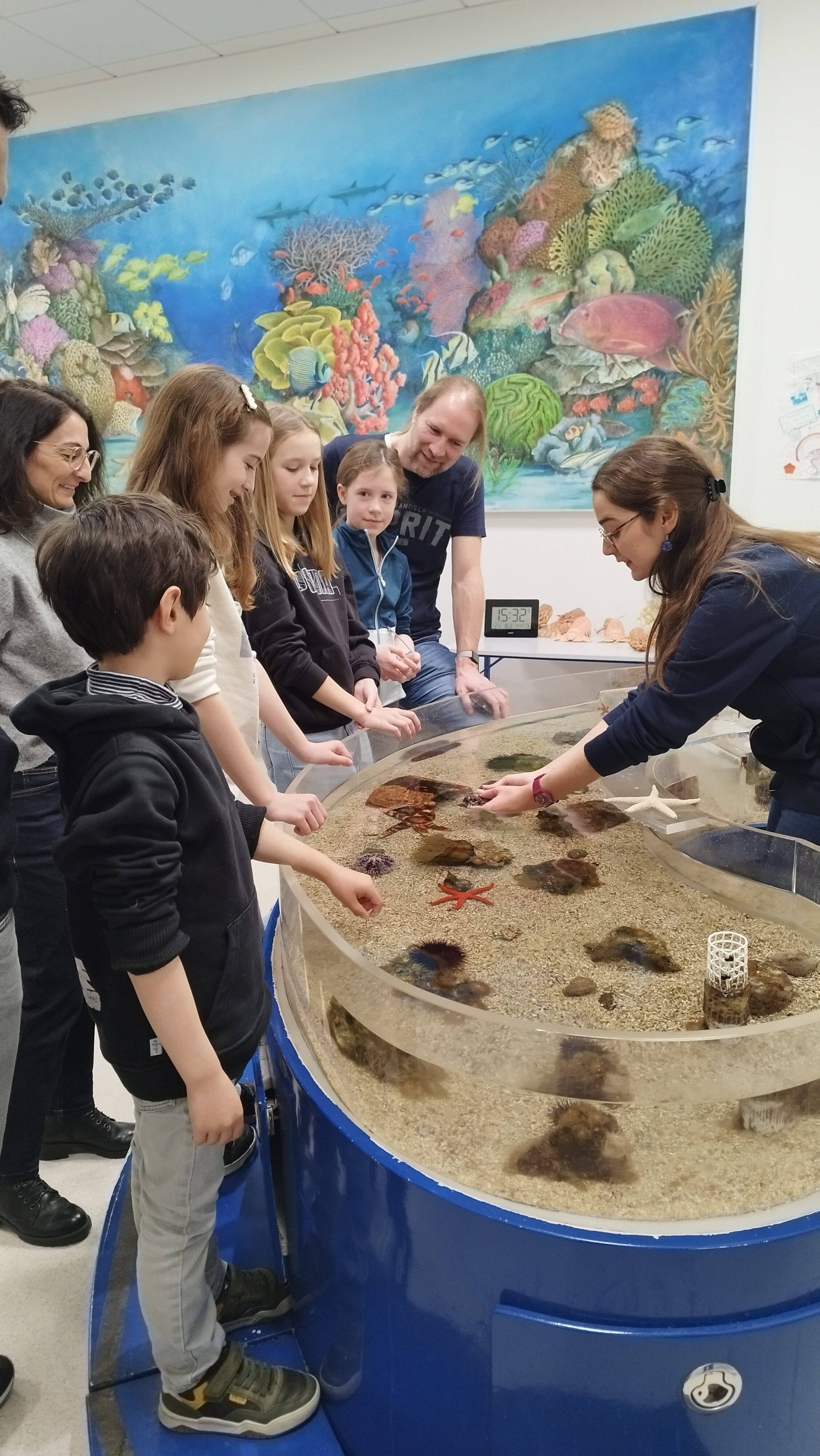 À la rencontre des animaux du littoral méditerranéen au Musée océanographique de Monaco