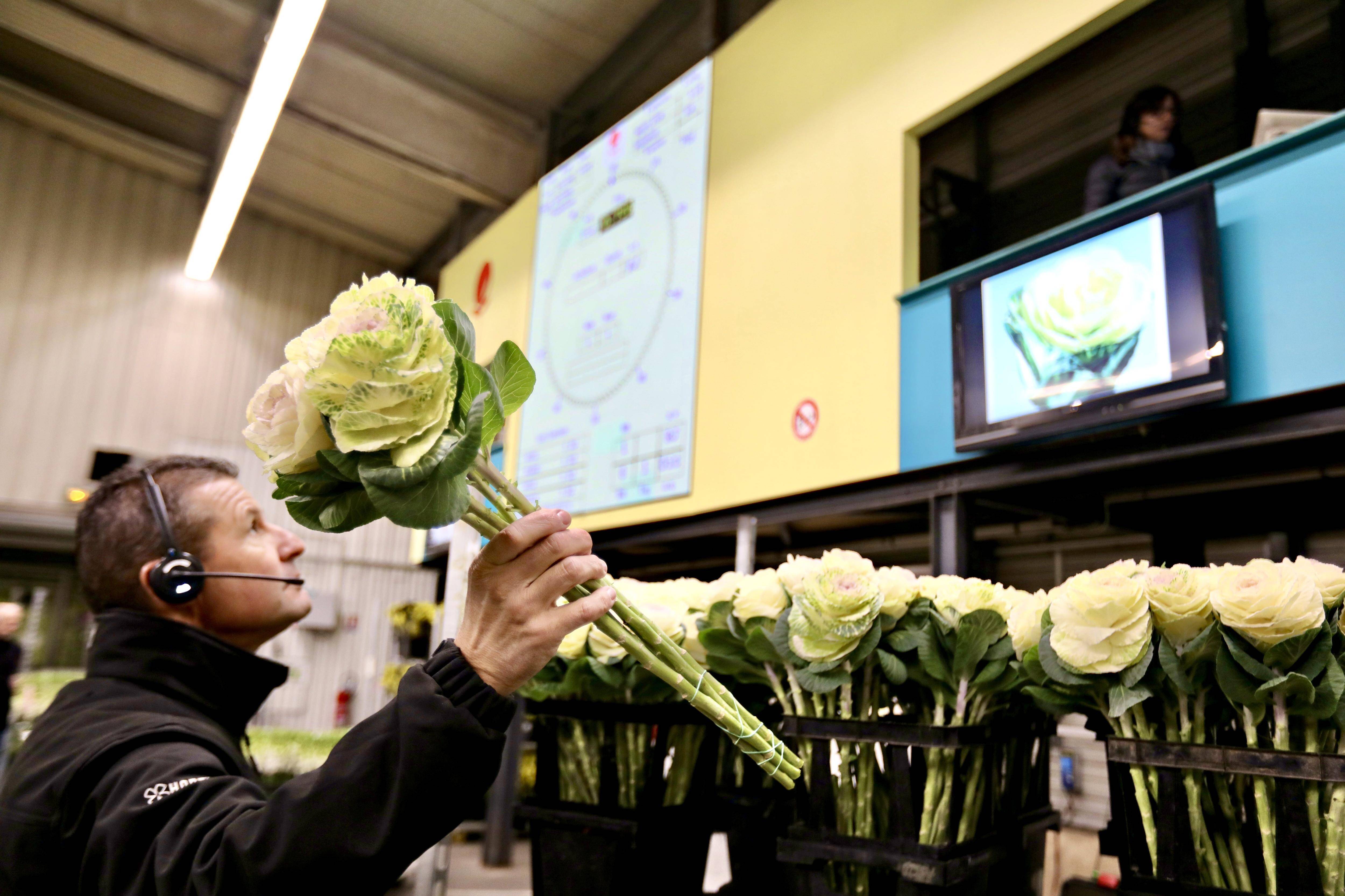 Avec 66 millions de bouquets et tiges vendus en 2024, le marché aux fleurs d'Hyères séduit le monde entier