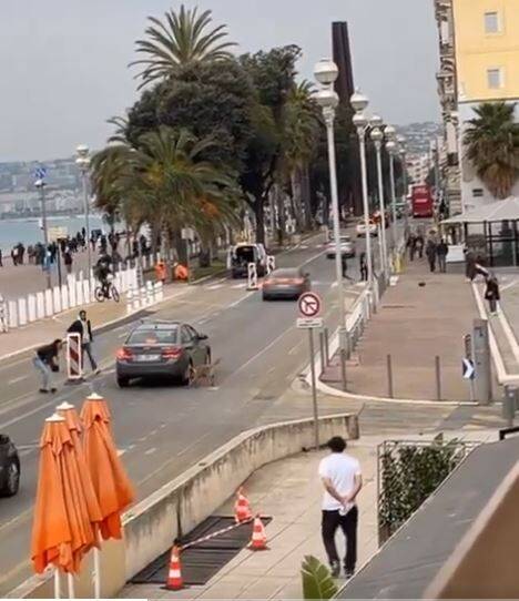 À Nice, un chien course un lapin nain sur la Prom: la vidéo fait le buzz et montre la cruauté de certains internautes