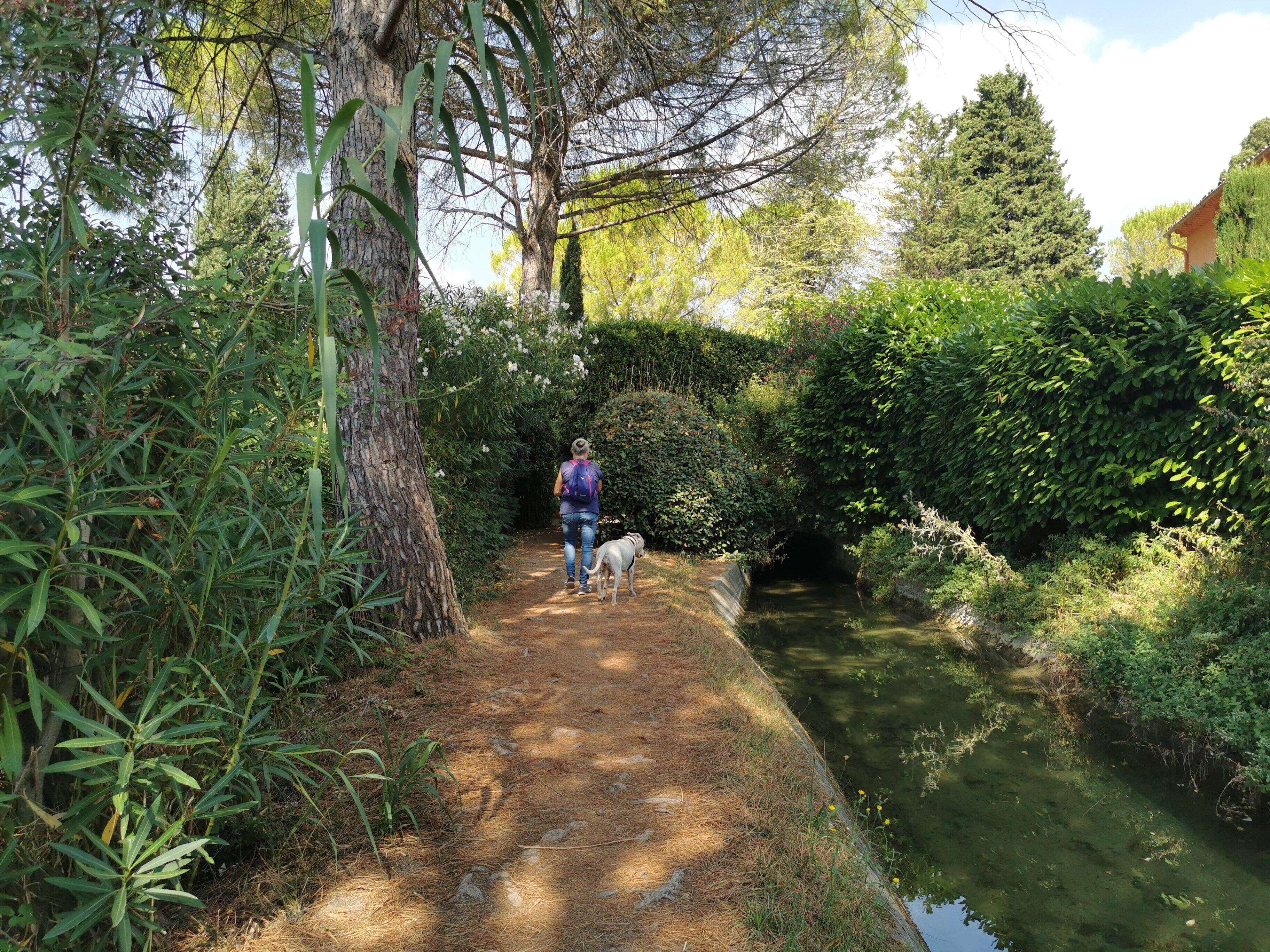 Un collectif de riverains demande "l'abandon complet du projet" de protection du canal de la Siagne