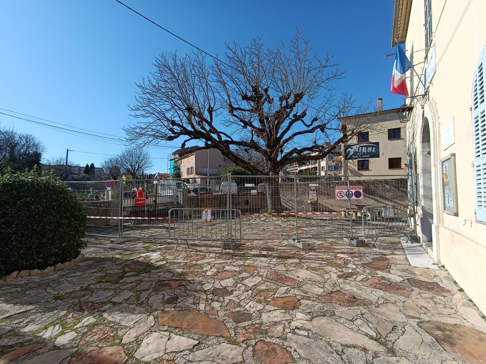 Une pétition contre l'abattage d'un arbre réunit plus de 15.000 signatures dans cette commune de la Côte d'Azur
