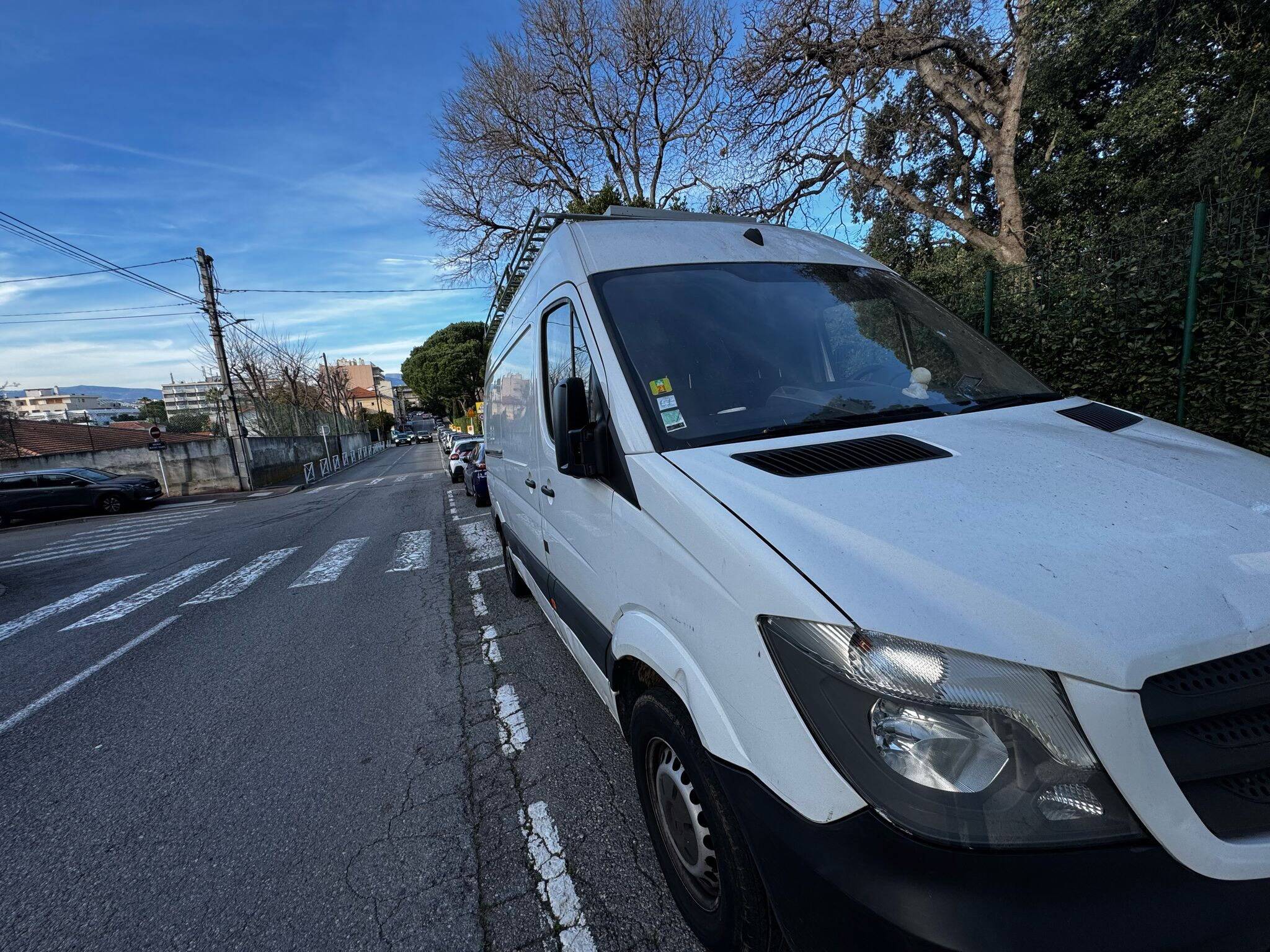 Des mouches "ressemblant fortement à celles que l'on retrouve sur les cadavres": les policiers antibois alertés par l'odeur fétide d'une camionnette