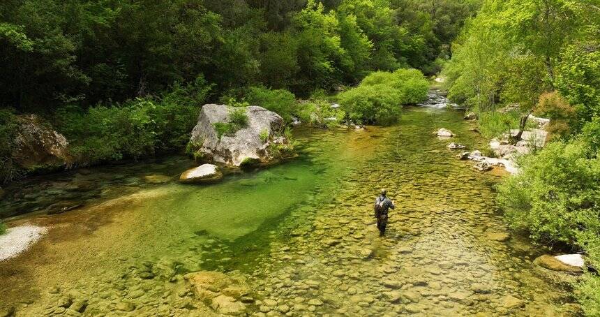 La Siagne dans un état optimal, un lâcher de truites... Ce que l'on sait de l'ouverture de la pêche à Saint-Cézaire-sur-Siagne