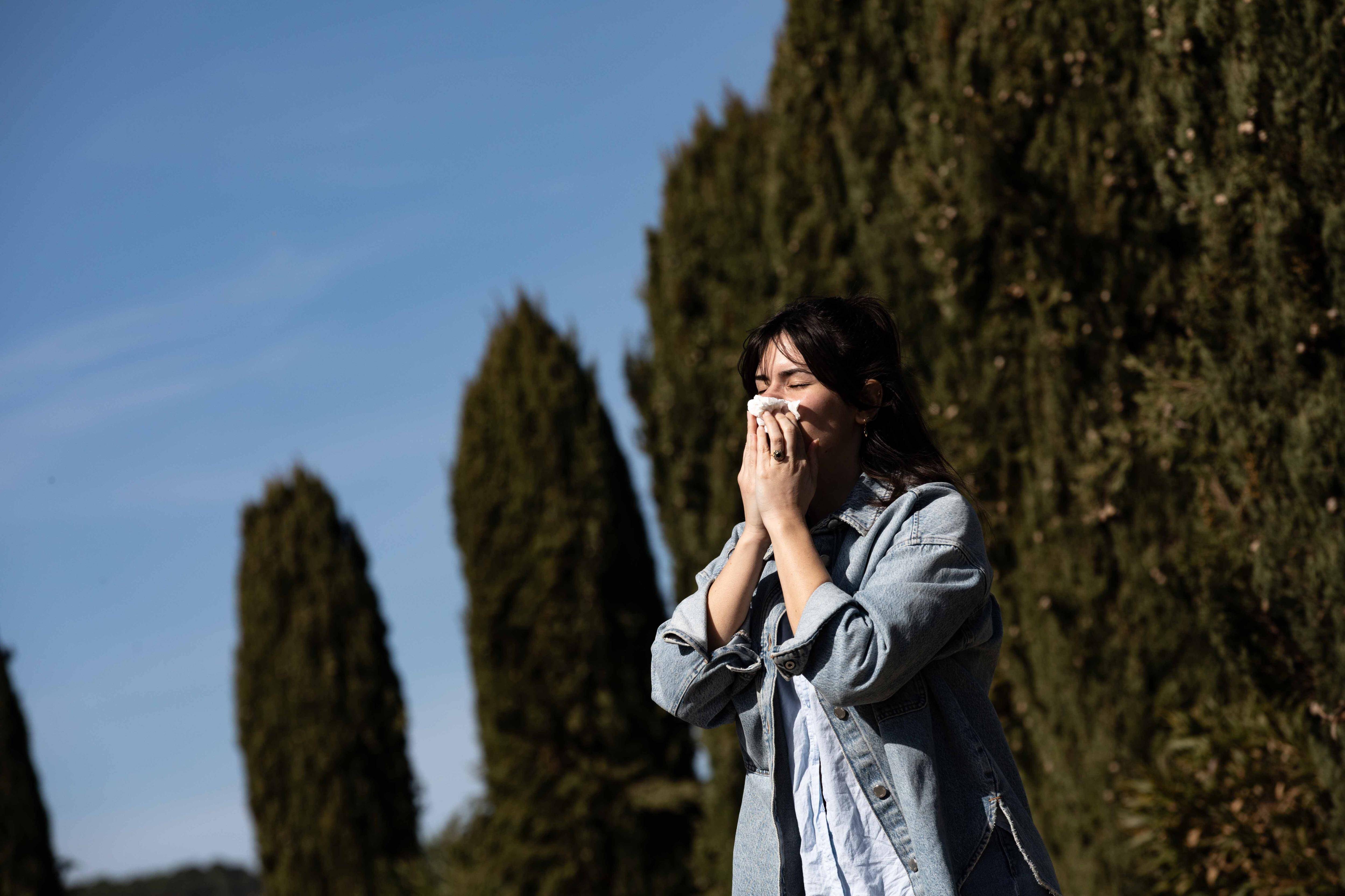 "J'utilise jusqu'à quatre paquets de mouchoir tous les jours!": sur les bords de la Méditerranée, haute saison pour les allergies aux pollens de cyprès