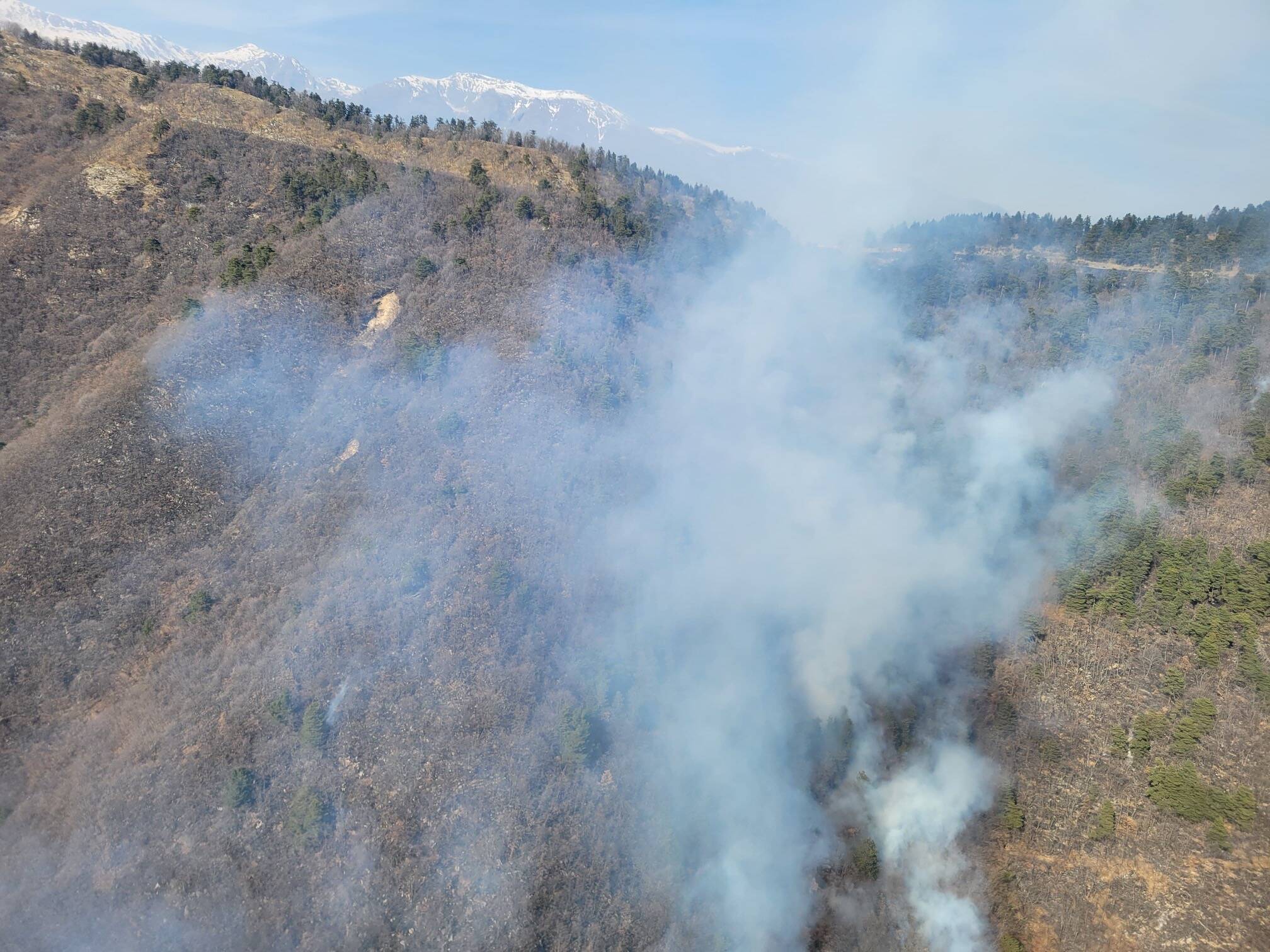 Ce que l'on sait sur les incendies qui ont détruit 360 hectares dans la Roya et la Bévéra