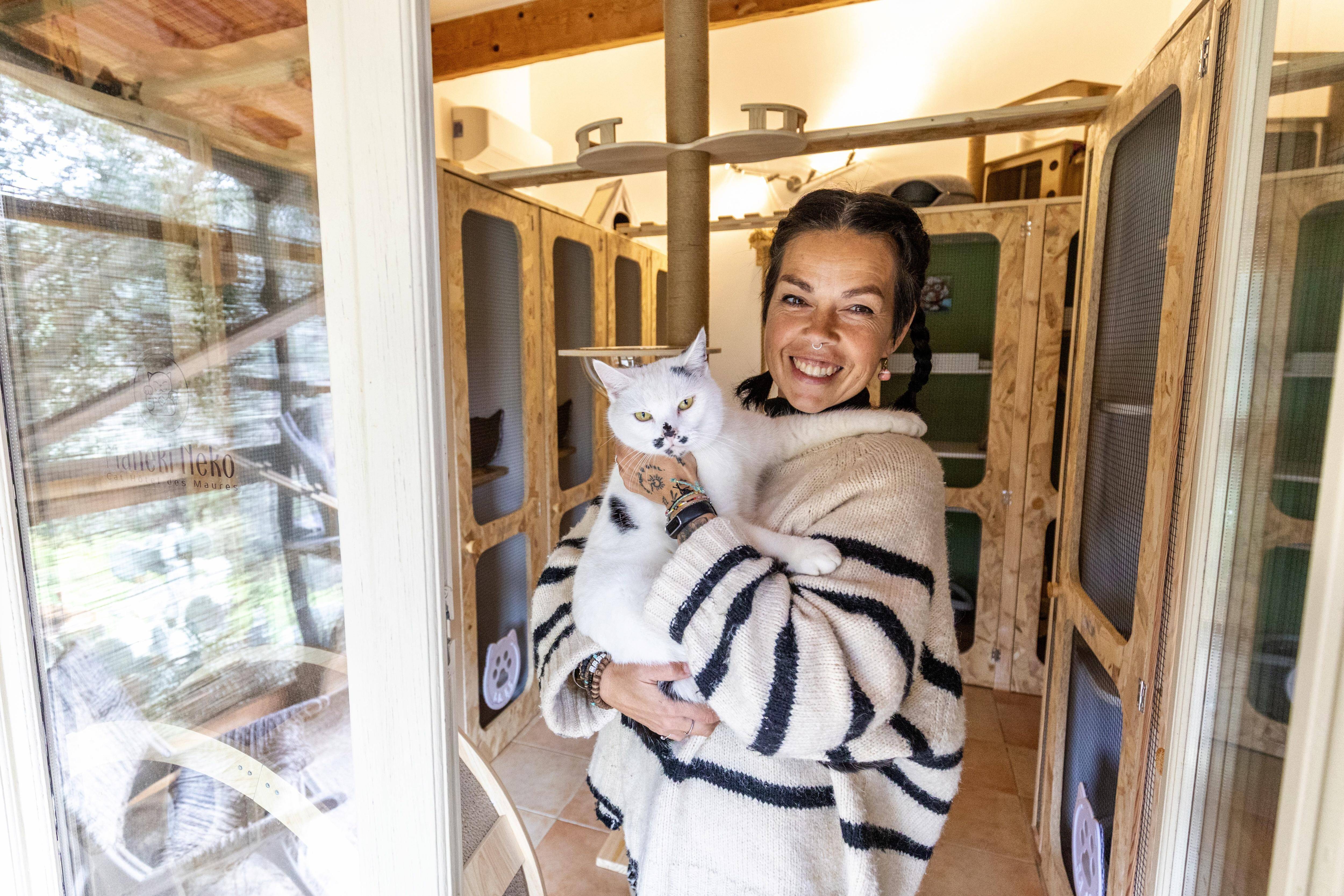 Neuf chambres, un "room service", une présence 24h/24... un hôtel pour chats a ouvert près de Saint-Tropez