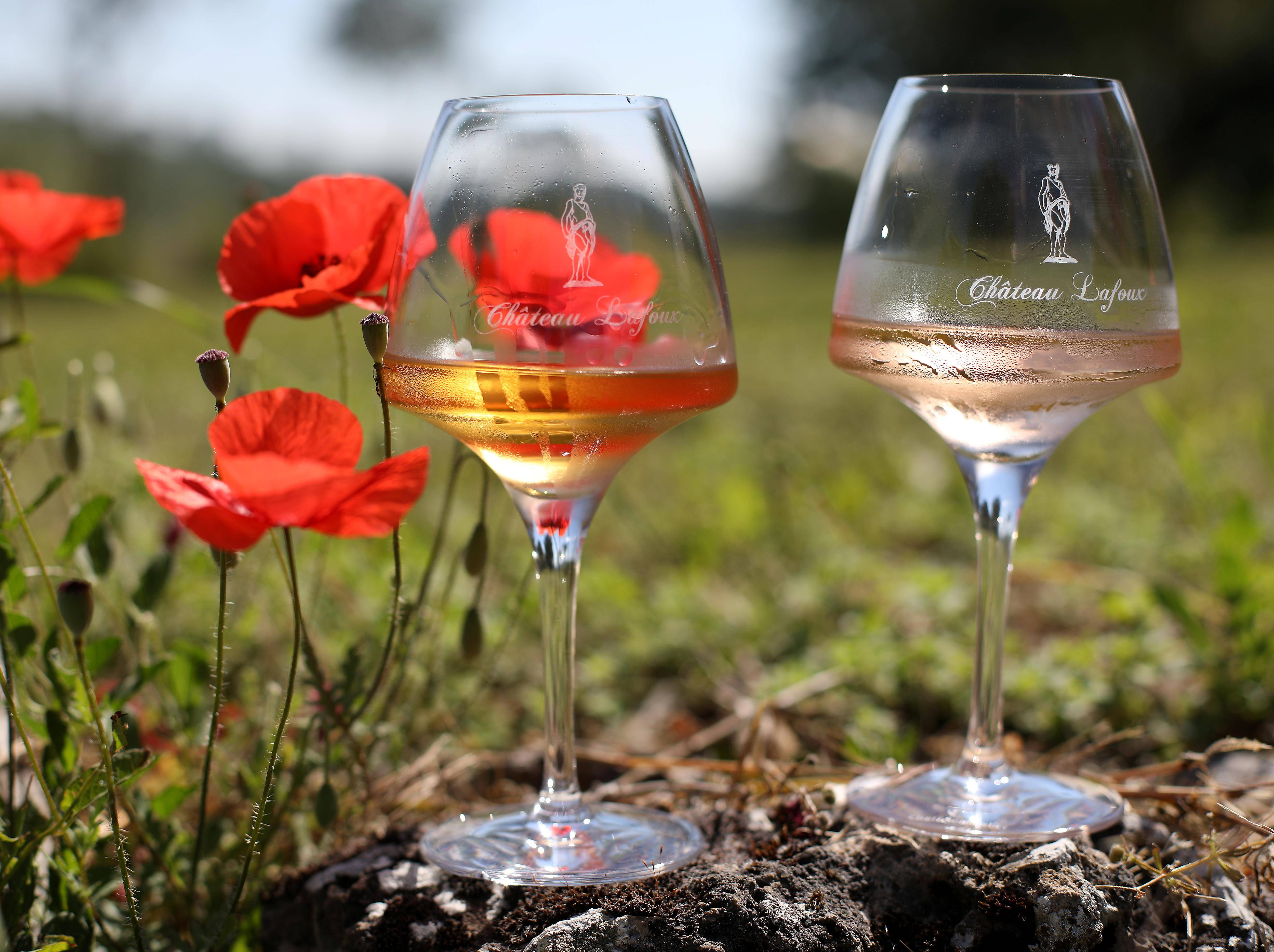 "C'est une douche froide": après les menaces de Donald Trump contre les alcools et vins français, stupeur au sein de la filière varoise