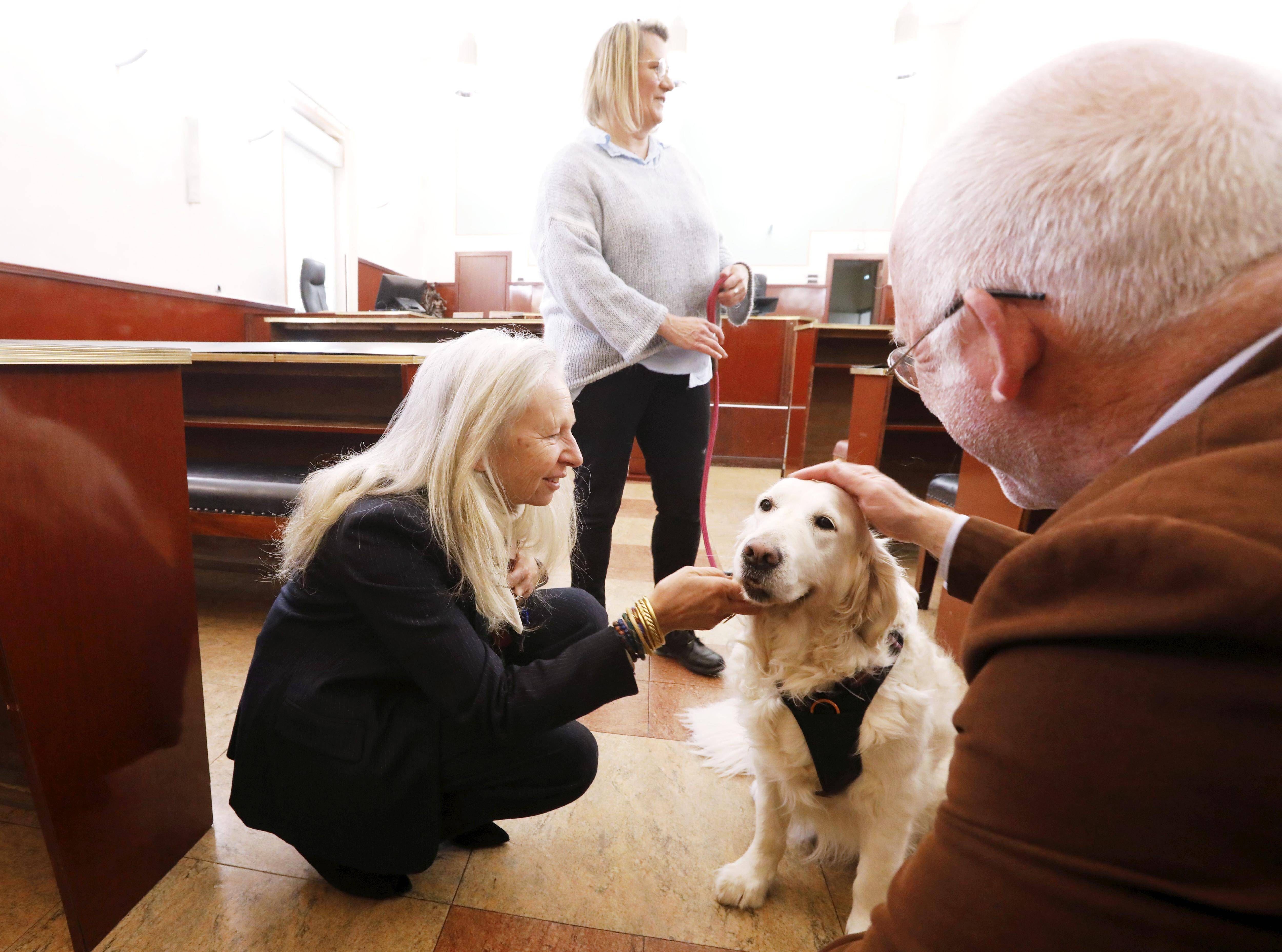 "Absorber une part d'angoisse": des chiens "sensibles" déployés dans le Var pour apaiser les enfants victimes de violences