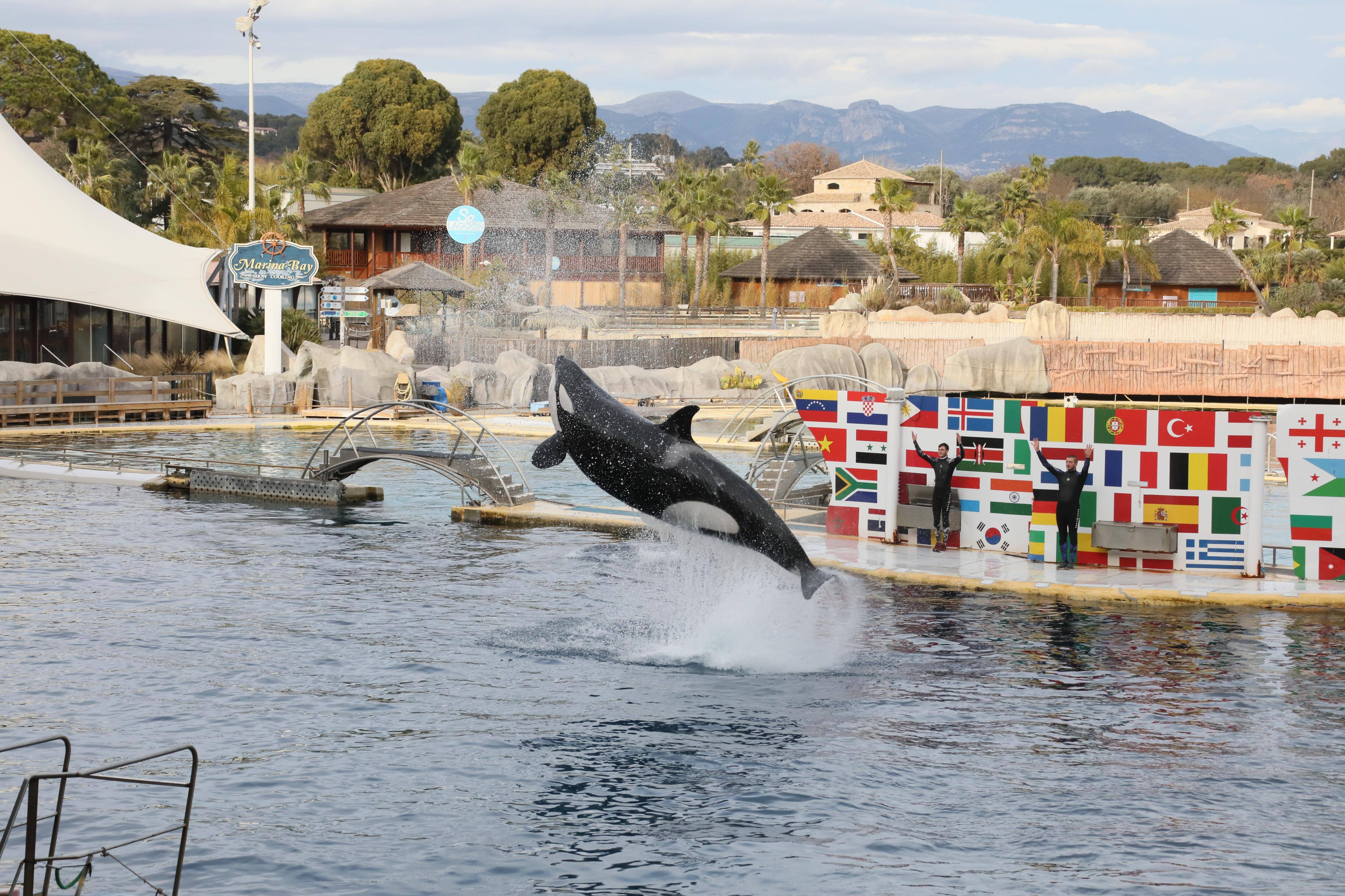 Marineland: Agnès Pannier-Runacher annonce vouloir transférer les orques et dauphins "d'une manière transitoire" en Espagne
