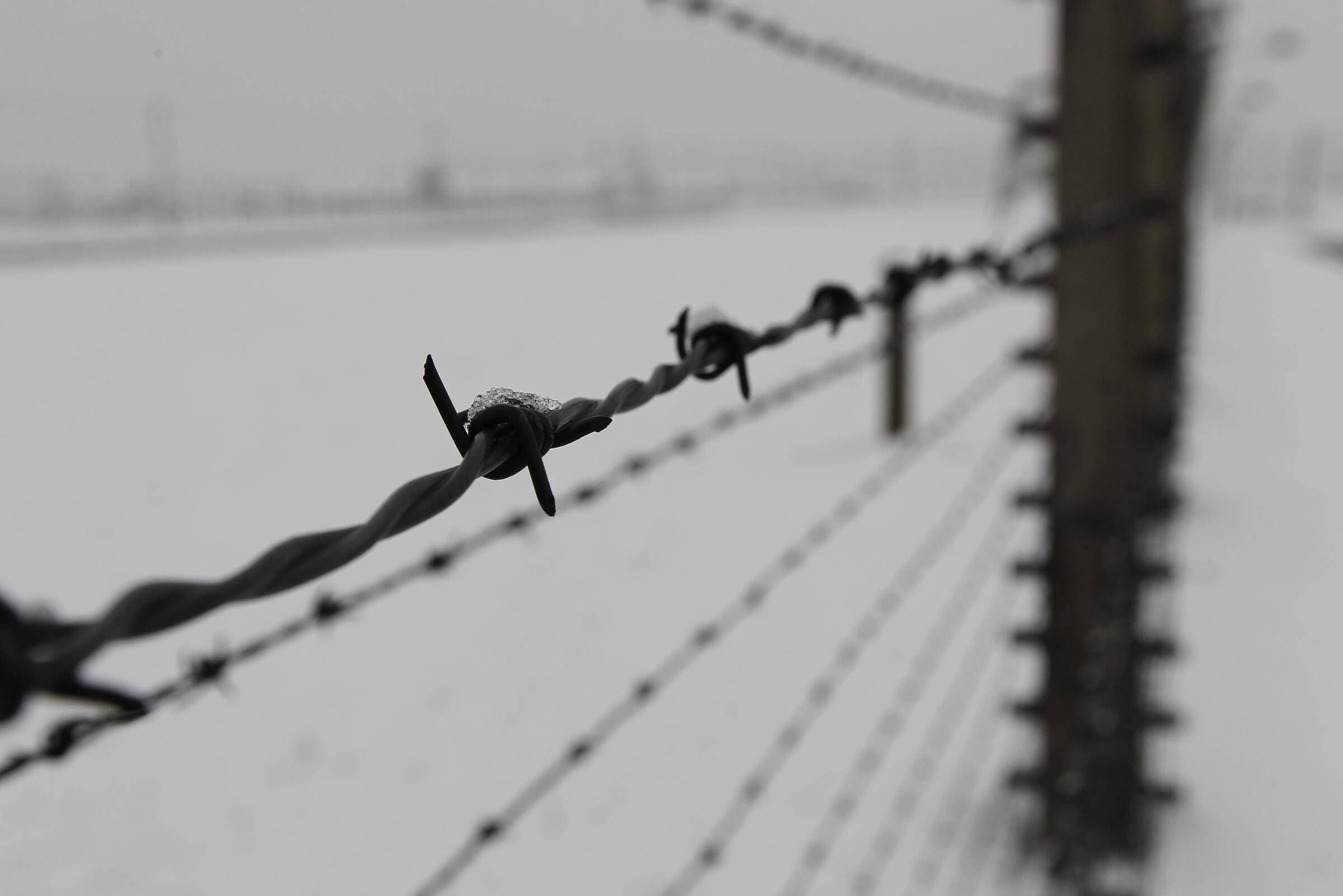 "Je suis effrayé de voir que tout ce que j'avais combattu renaît": la Shoah expliquée sur le campus de Sciences Po Menton