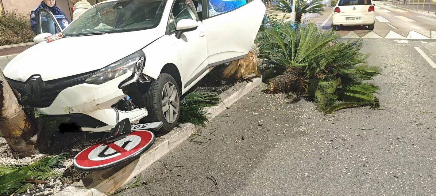 La voiture d'un jeune conducteur grimpe sur le terre-plein central et arrache tout à Mandelieu