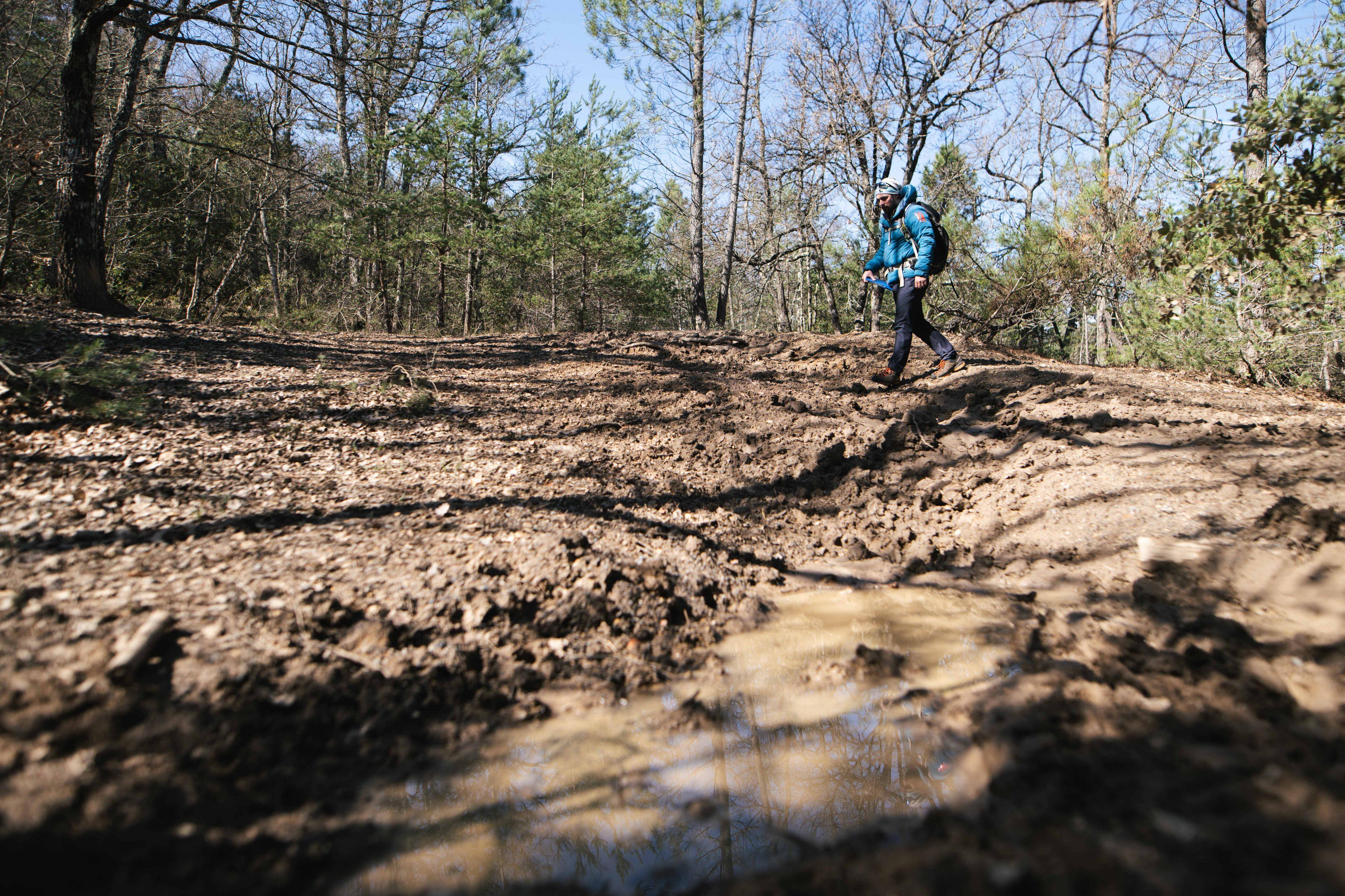 Ce naturaliste propose des sorties pédagogiques pour en savoir plus sur le loup dans la Sainte-Baume