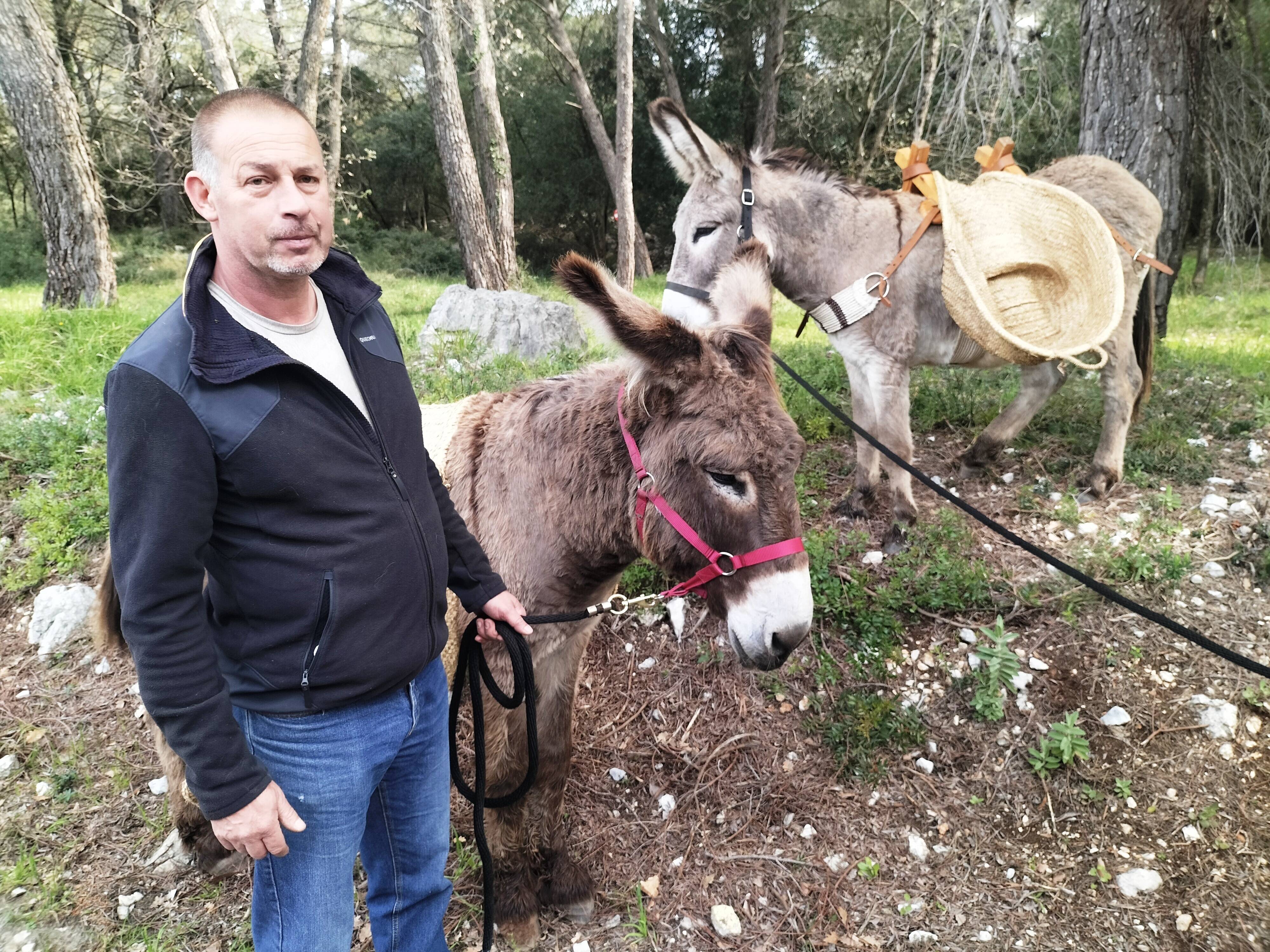 Cette commune fait appel à des ânes pour débroussailler