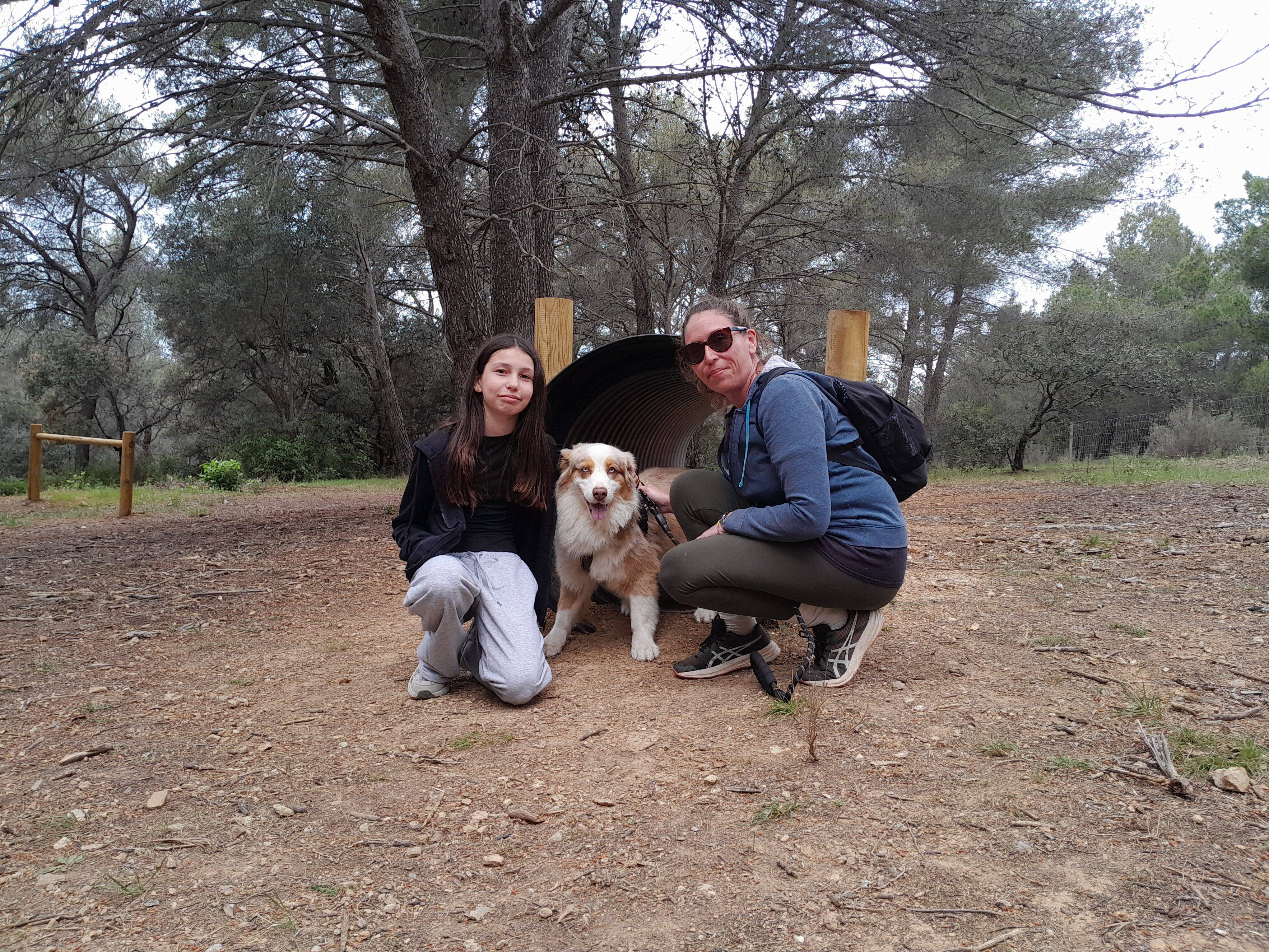 "On reviendra, car c'est bien ombragé pour l'été": un parc réservé aux chiens du côté de Sanary