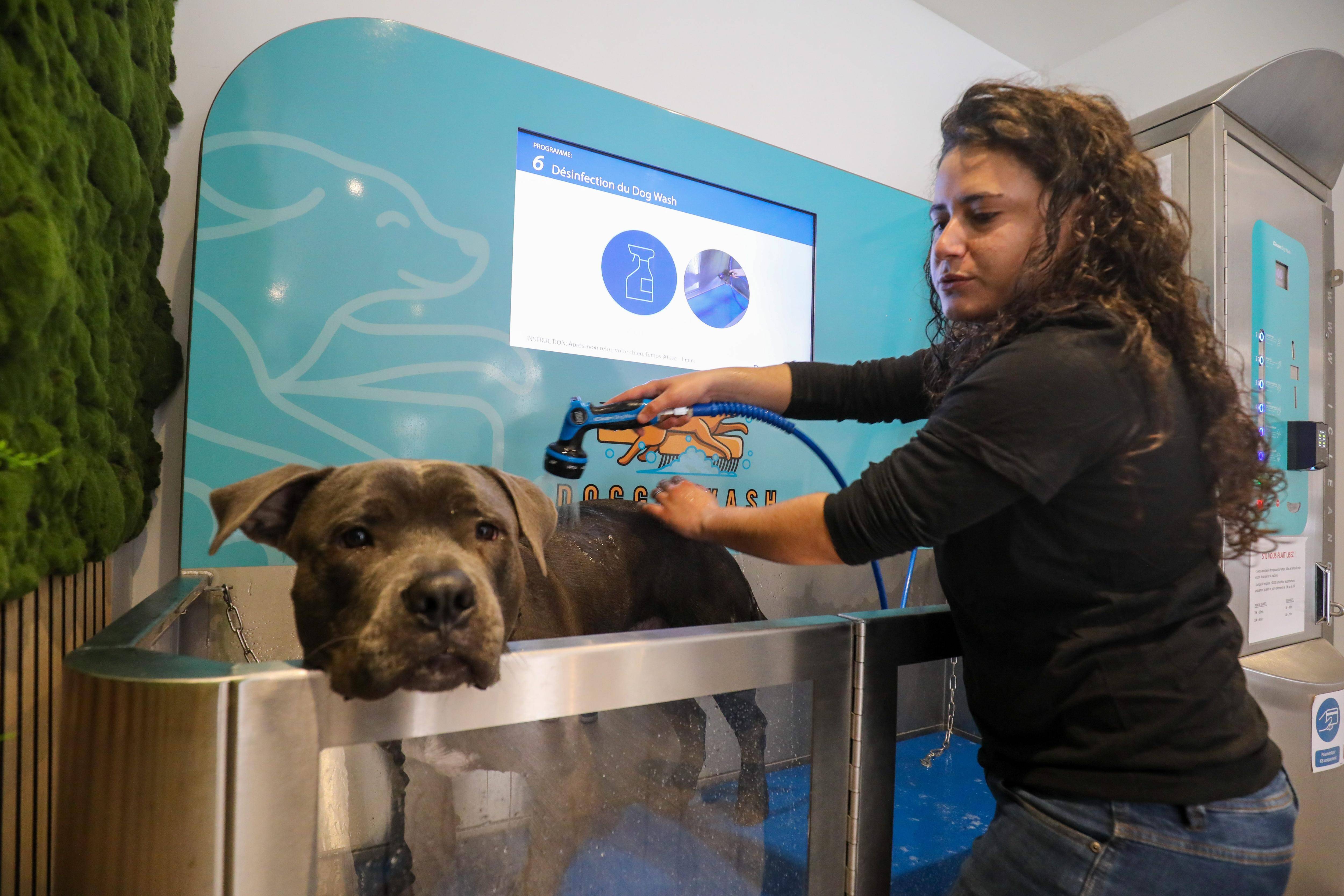 Laver soi-même son chien (ou son chat) en libre-service: un concept étonnant débarque à Nice
