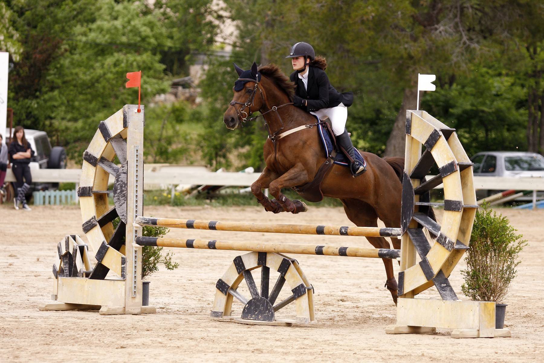 Une femme grièvement blessée après une chute de cheval ce vendredi à Vidauban, l'hélicoptère du Samu appelé en renfort
