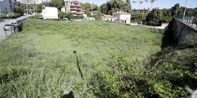 "Le RN ment sur les chiffres": la mairie de Saint-Laurent-du-Var a-t-elle fait un cadeau à Vatel ?