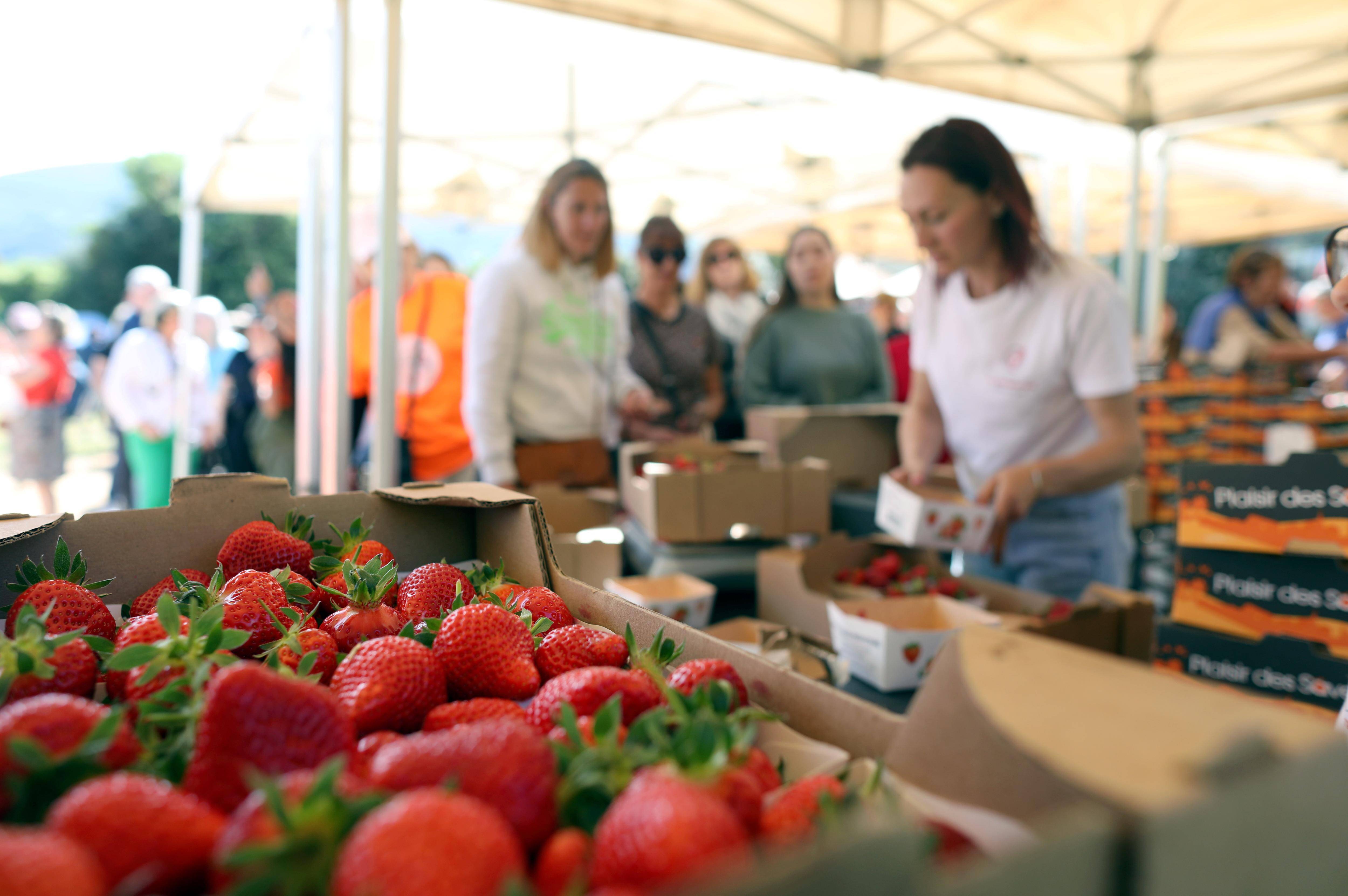 "C'est notre virée familiale", la fête des fraises se poursuit jusqu'à dimanche à Carros (et ce serait dommage de rater ça)