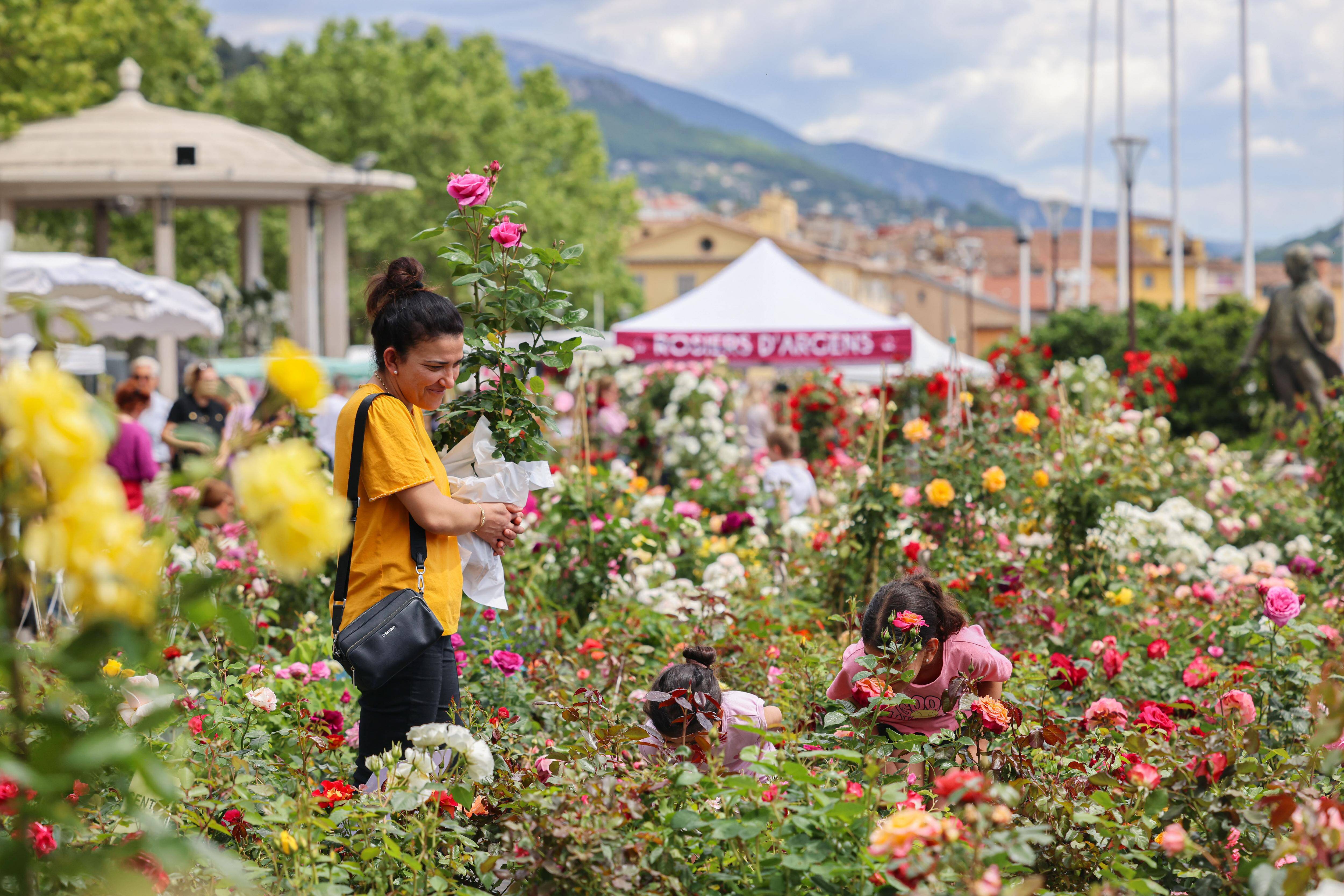 Présence du chanteur Amir, bouquets XXL, fresques végétales, bal métissé... Tout ce qu'il faut savoir sur le rendez-vous ExpoRose de Grasse