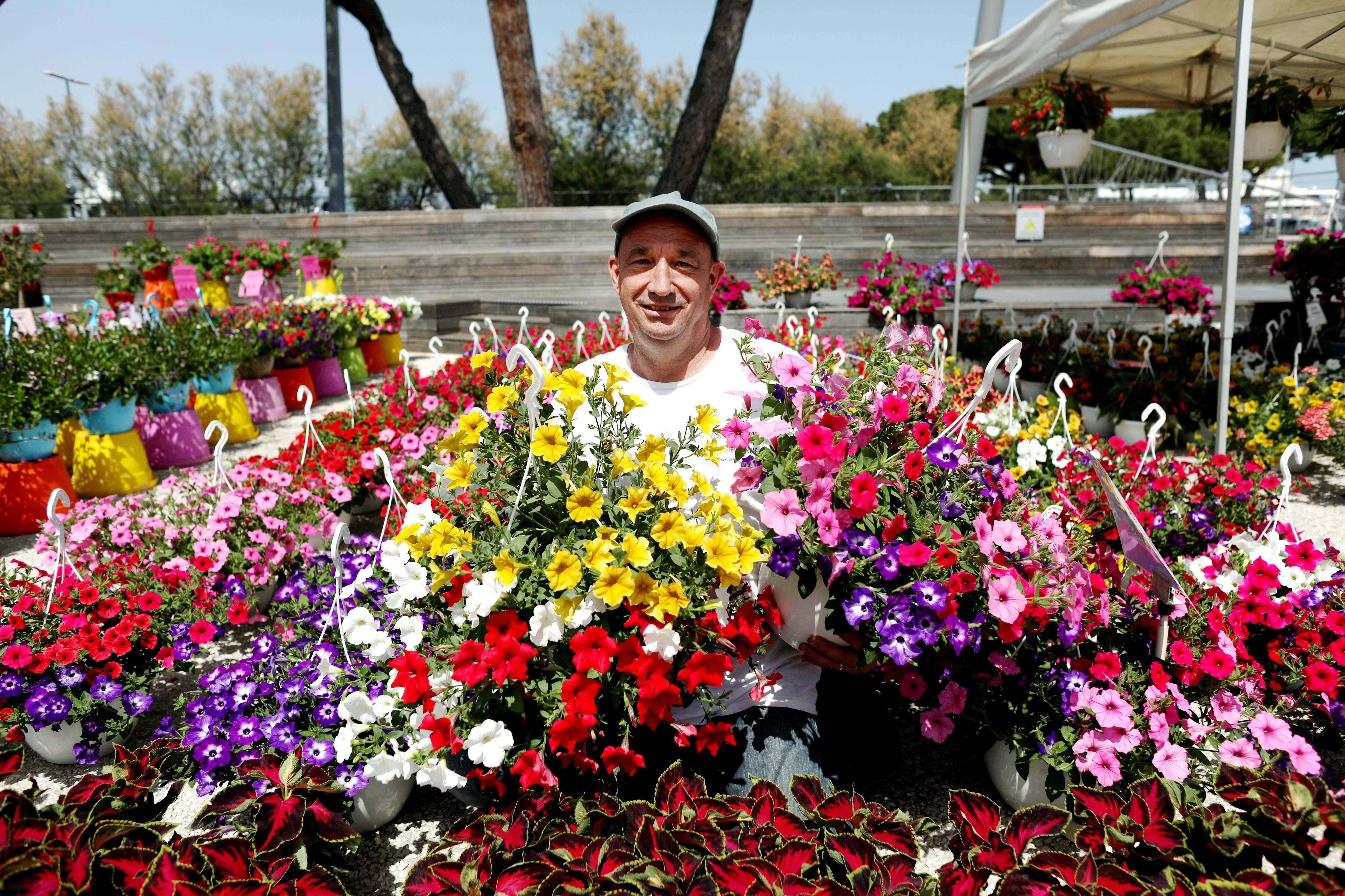 "C'est l'occasion de recréer du lien": le salon des Plantes, fleurs et jardins d'Antibes se tient jusqu'à ce dimanche