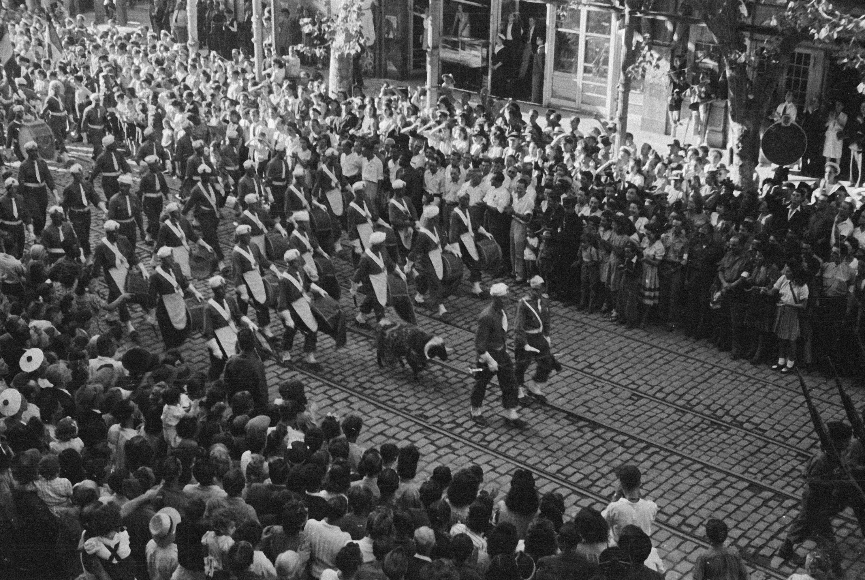 Expo photos, projection de films, parcours mémoriel... Un 8 mai pas comme les autres célébré à Toulon