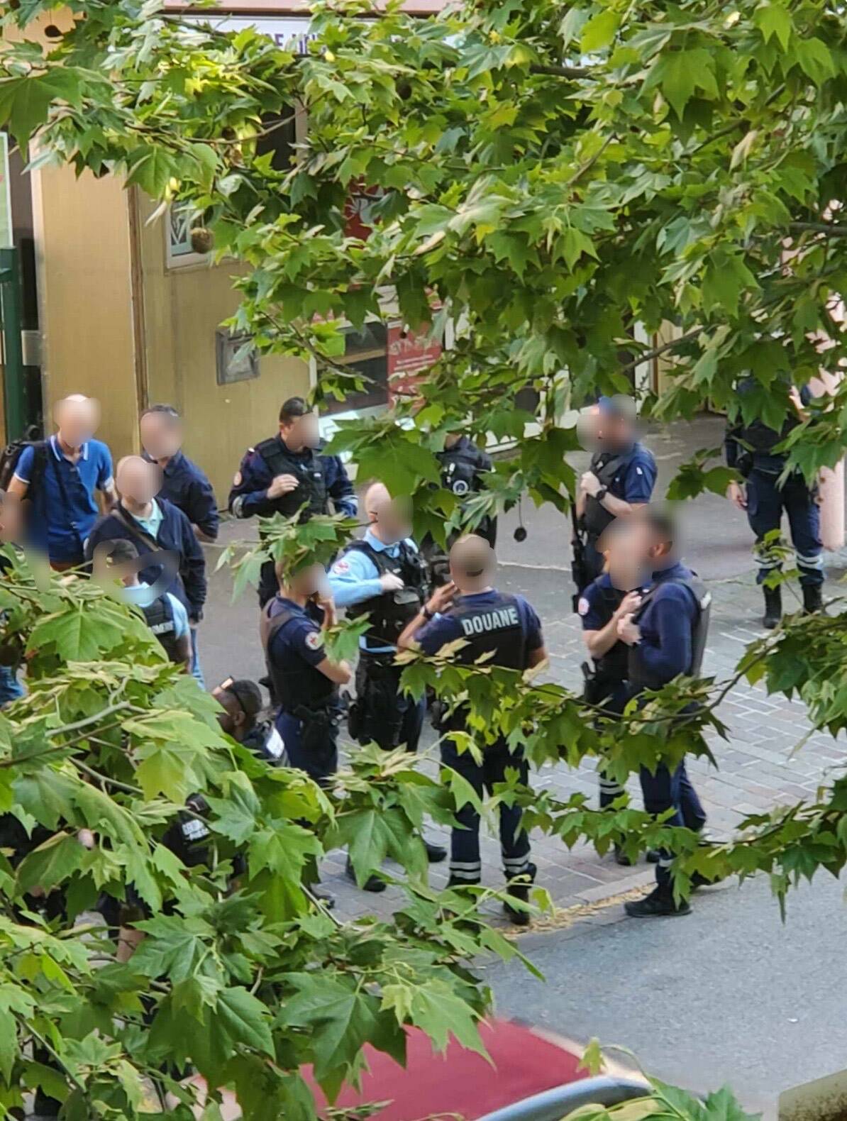 212 pieds de cannabis découverts dans le quartier de l'Ariane à Nice, lors d'une vaste opération de police et gendarmerie