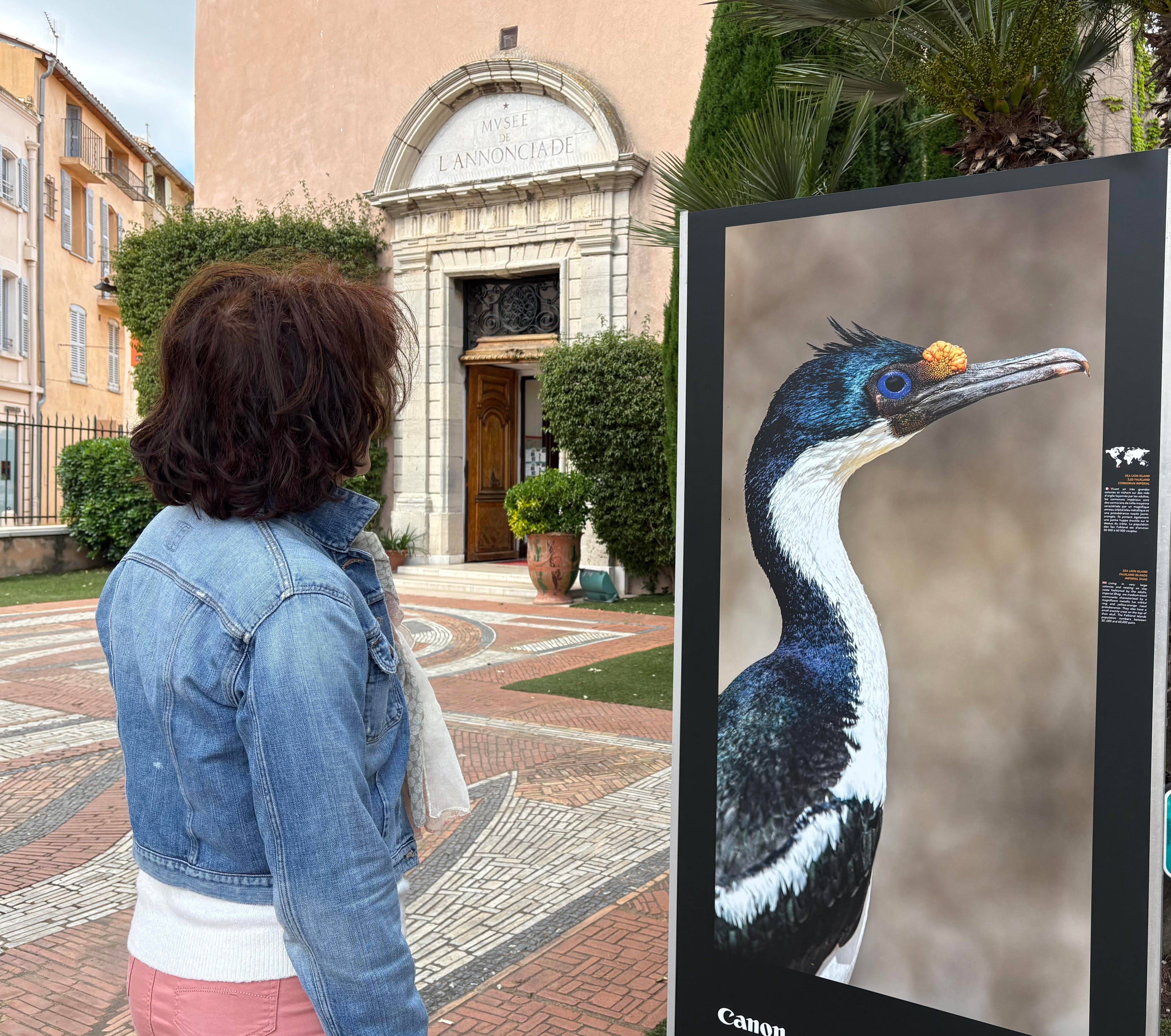 Les oiseaux comme thème de la onzième édition du Grand Prix Photo dans les jardins de l'Annonciade à Saint-Tropez
