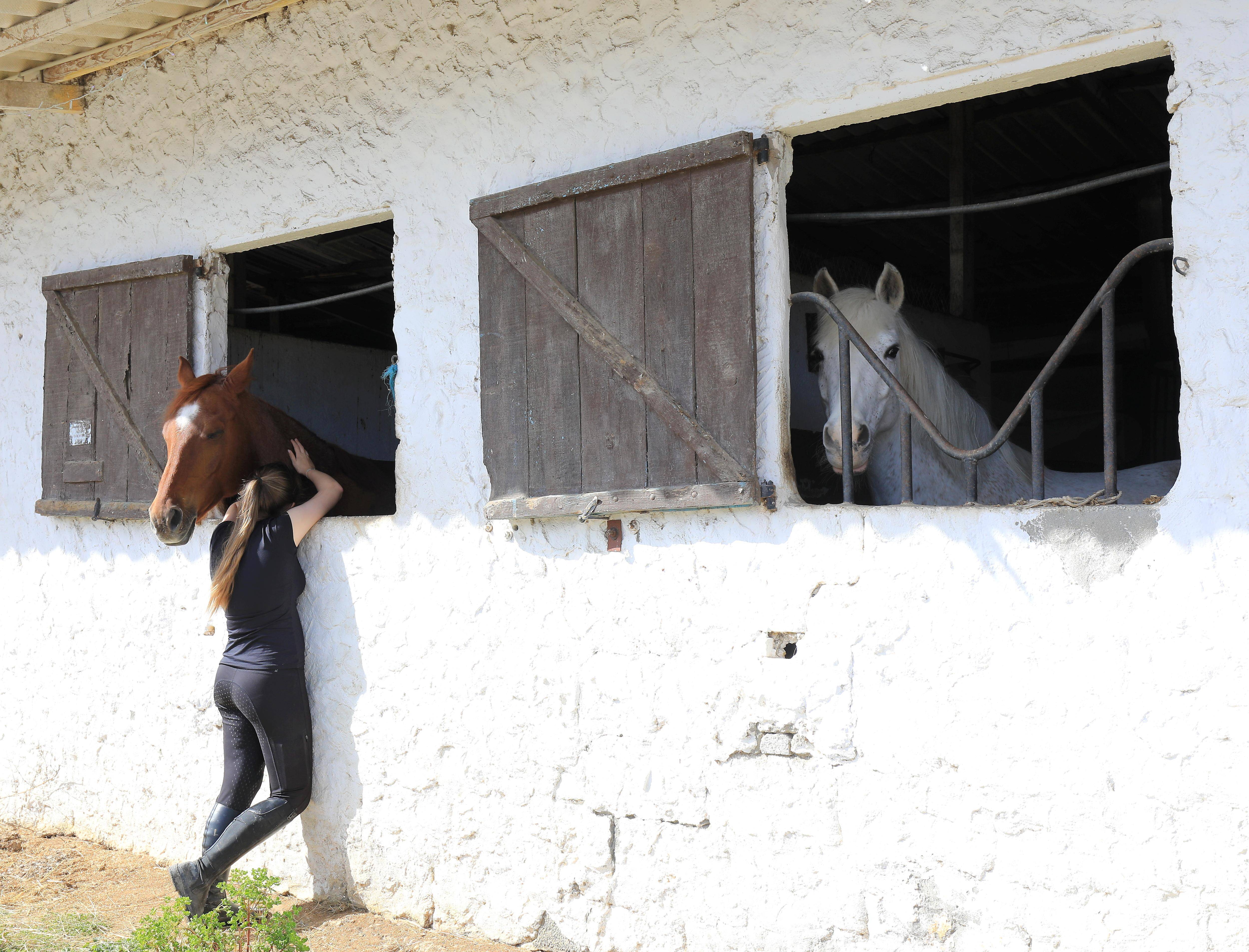 Ce célèbre centre équestre de la Côte d'Azur ferme après 60 ans d'existence
