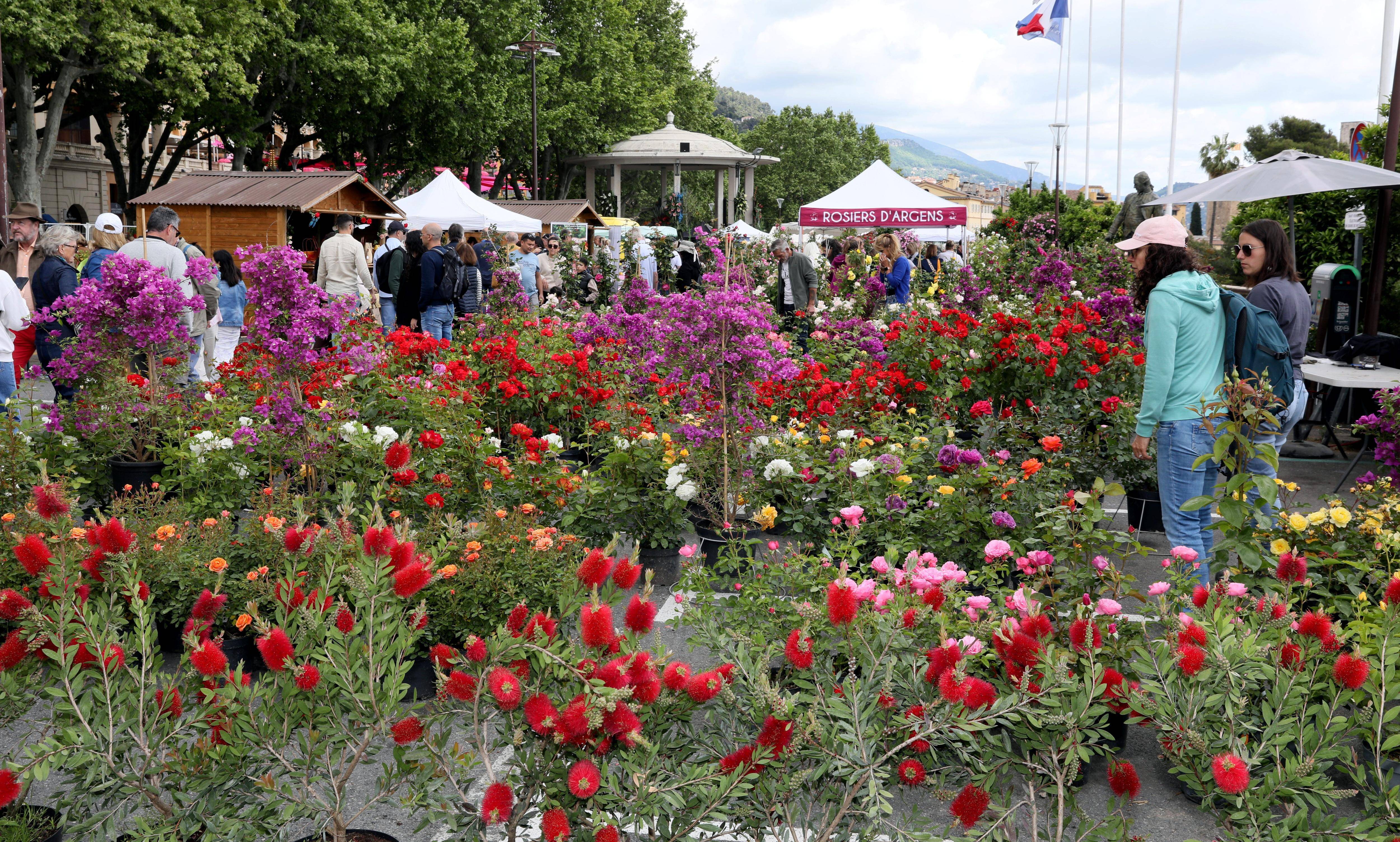 On vous fait la visite d'ExpoRose, le rendez-vous incontournable de Grasse qui se tient jusqu'à dimanche