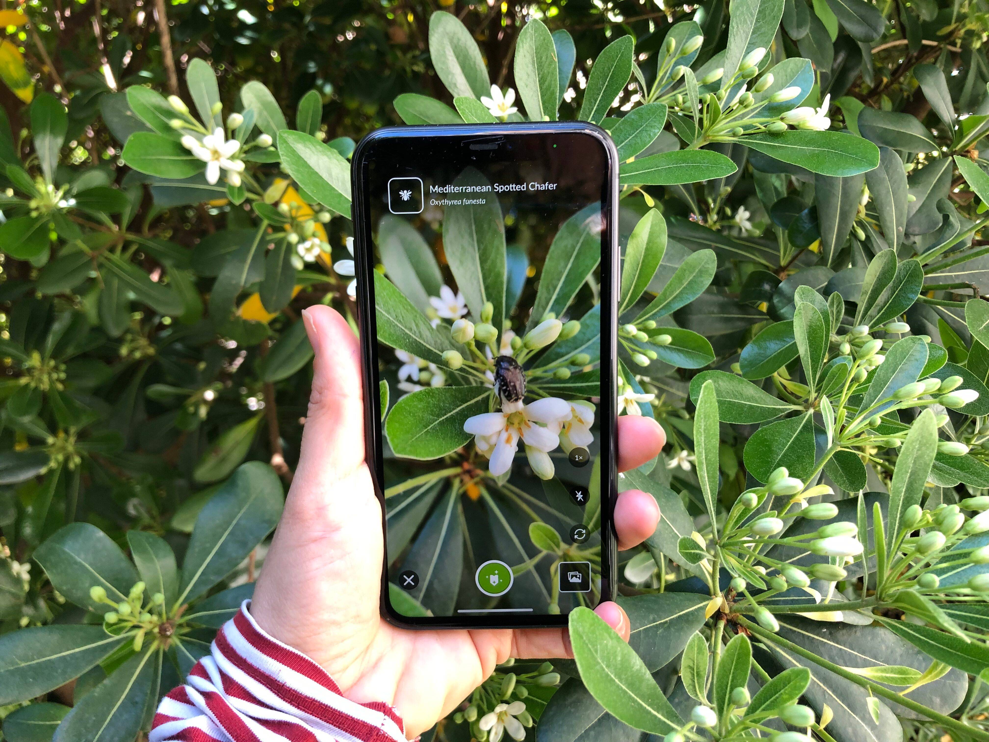 Pour cartographier la biodiversité, une commune des Alpes-Maritimes veut vous transformer en apprentis Darwin