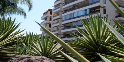 "Il est en train de sombrer dans l'indifférence générale": à Cannes, des voisins se mobilisent pour un retraité vulnérable qui serait abusé par plusieurs personnes