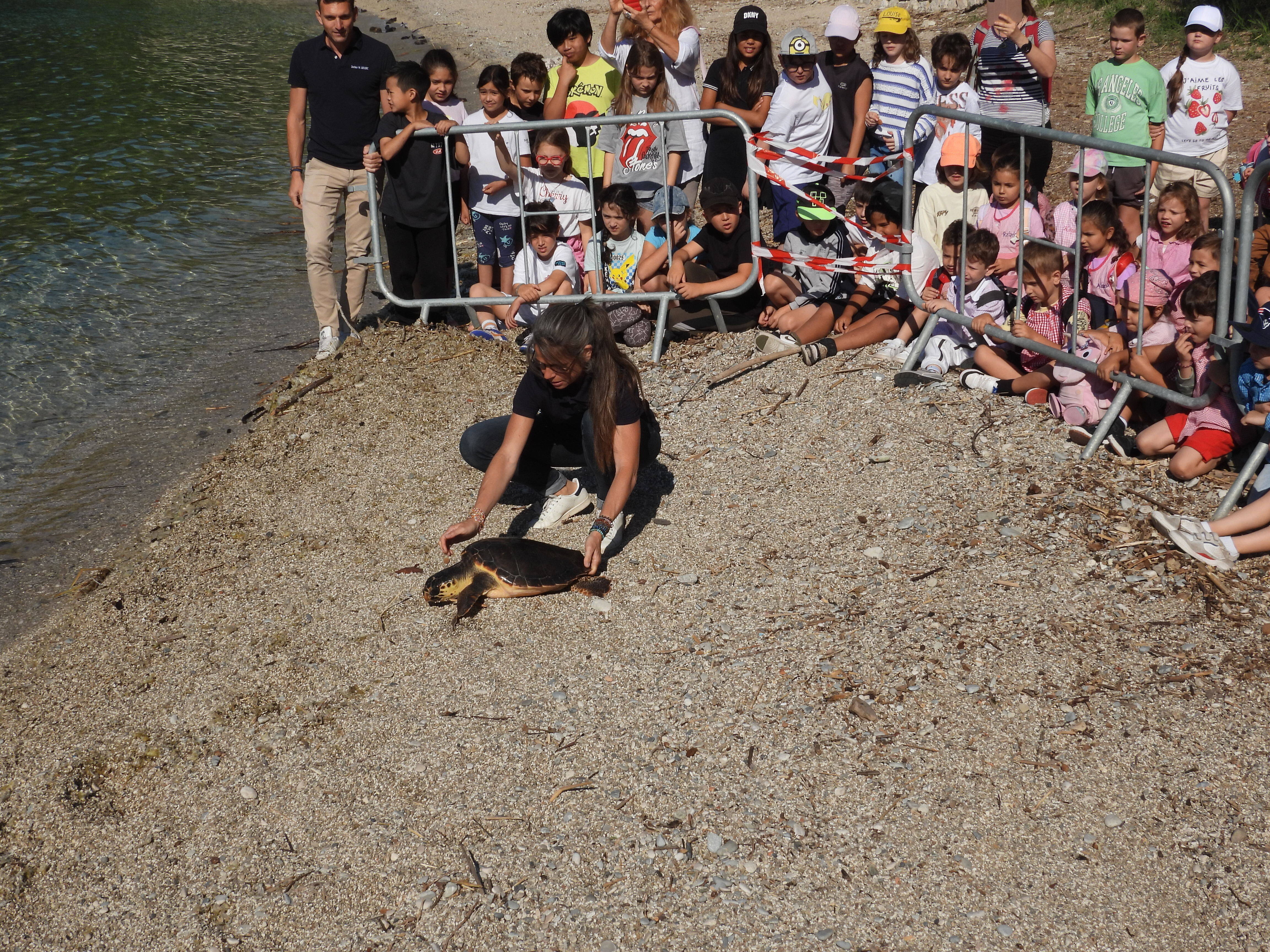 A Saint-Jean-Cap-Ferrat, un pêcheur tombe par hasard sur une tortue protégée très affaiblie, elle vient de regagner la mer après un mois de soins