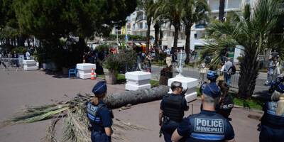 Ce que l'on sait après la chute d'un palmier qui a blessé grièvement un homme sur la Croisette durant le Festival de Cannes